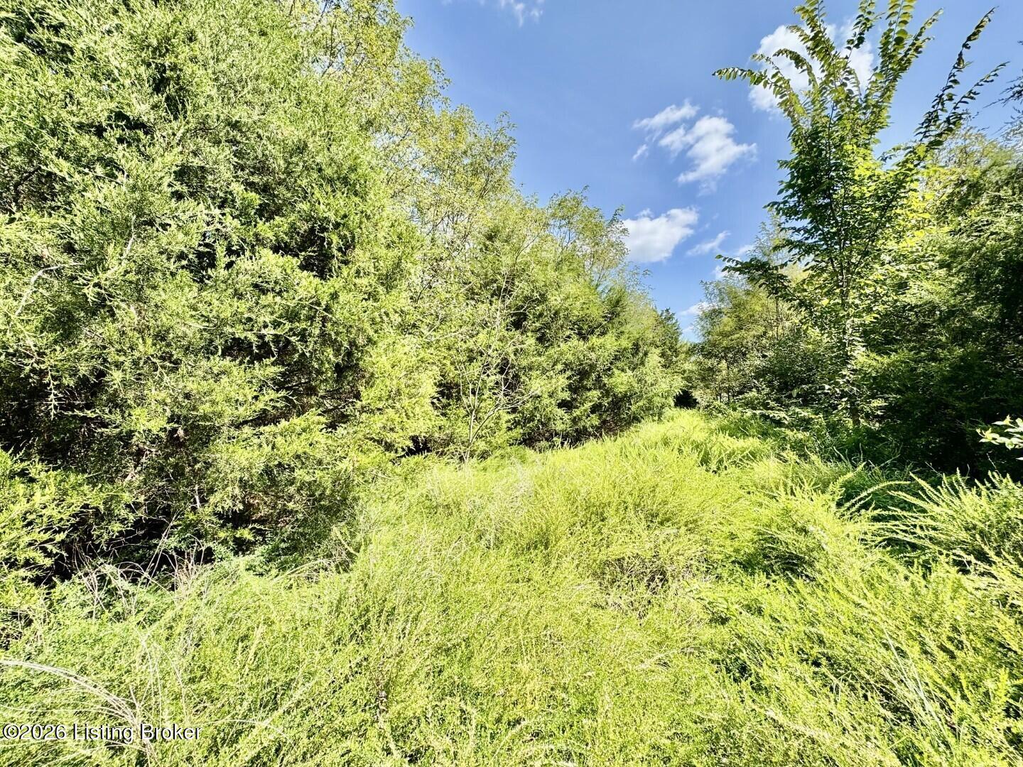100 Gordon Ford Property Photo 10