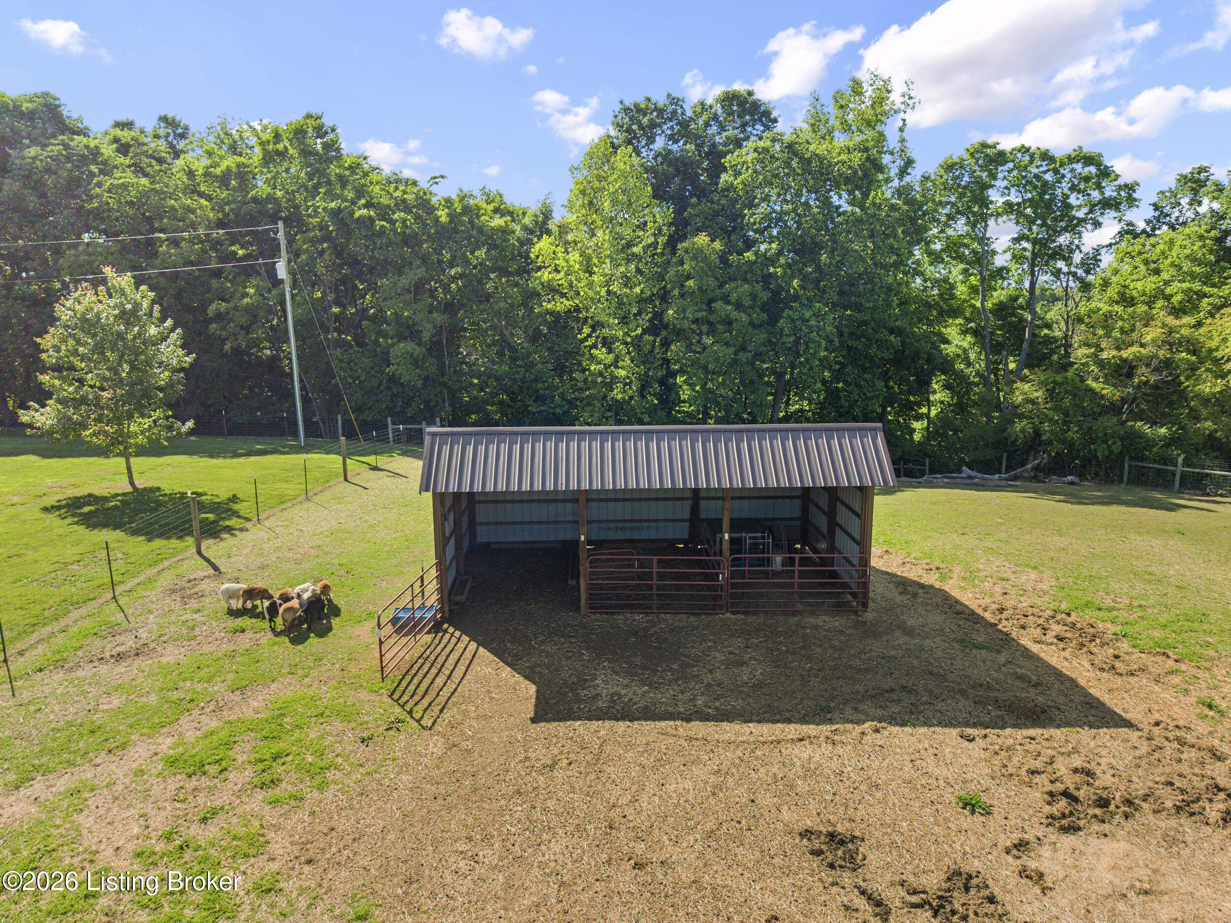 304 Hutchins Ridge Rd Property Photo 37