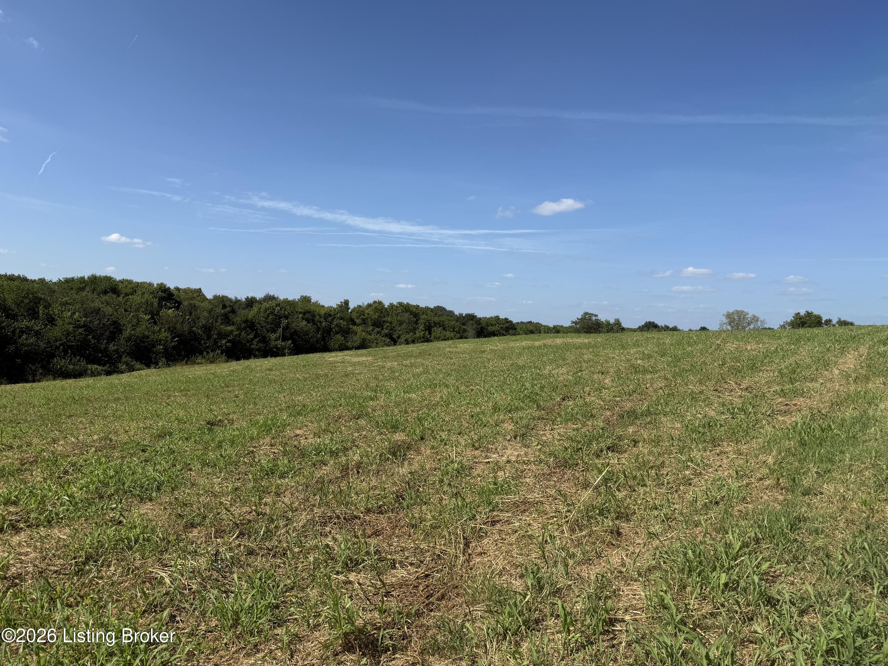 6050 Plum Run Rd Property Photo 1