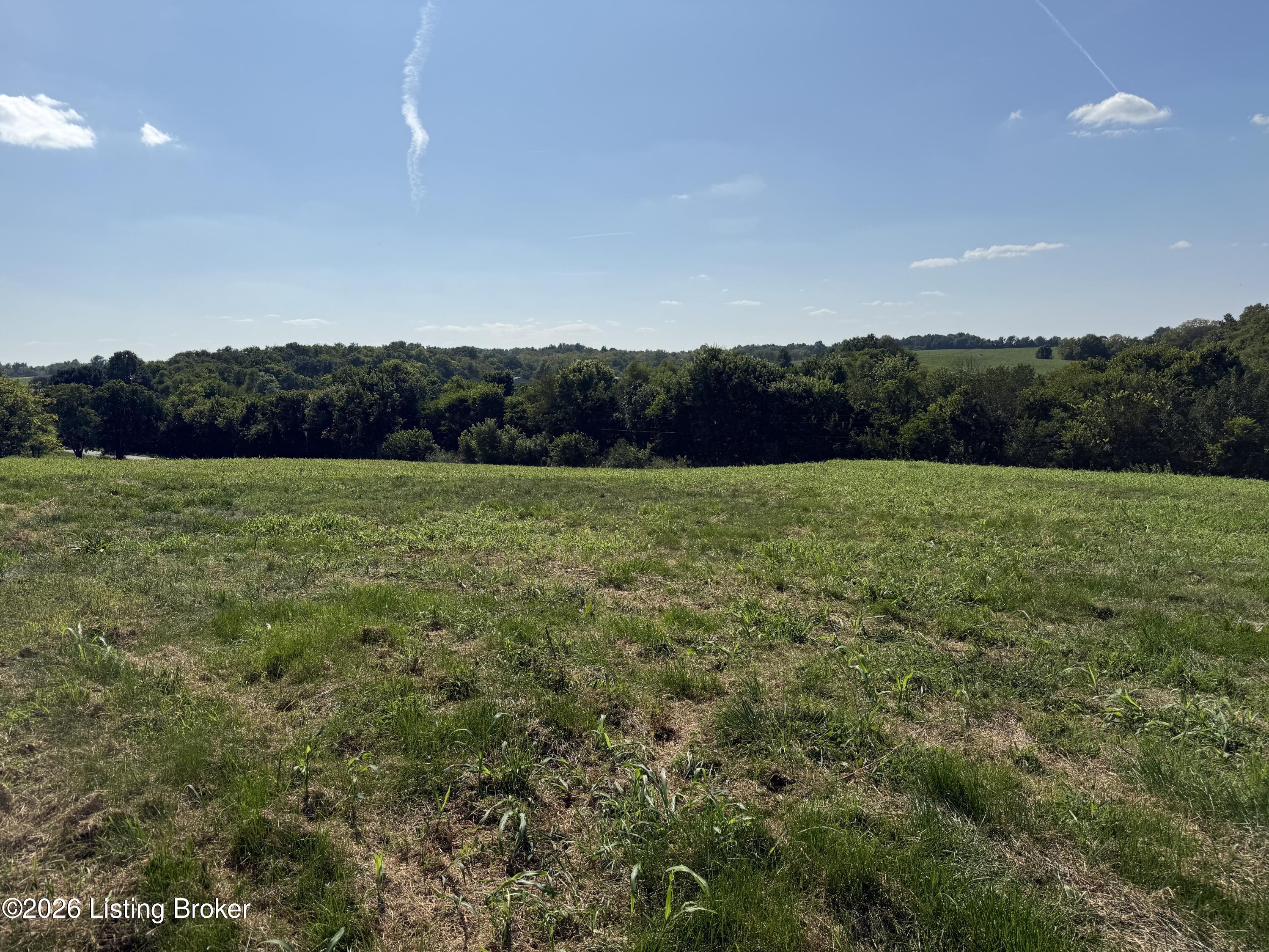 6050 Plum Run Rd Property Photo 6