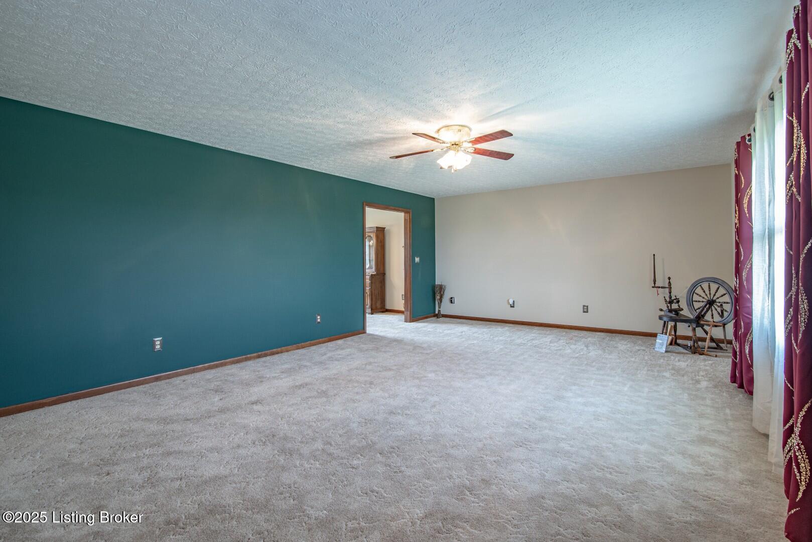 11441 Rineyville Rd Property Photo 29