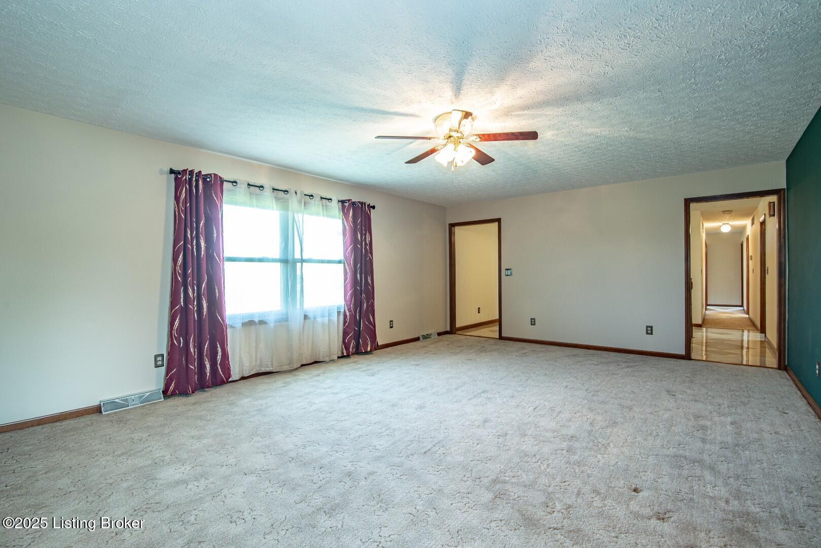 11441 Rineyville Rd Property Photo 31