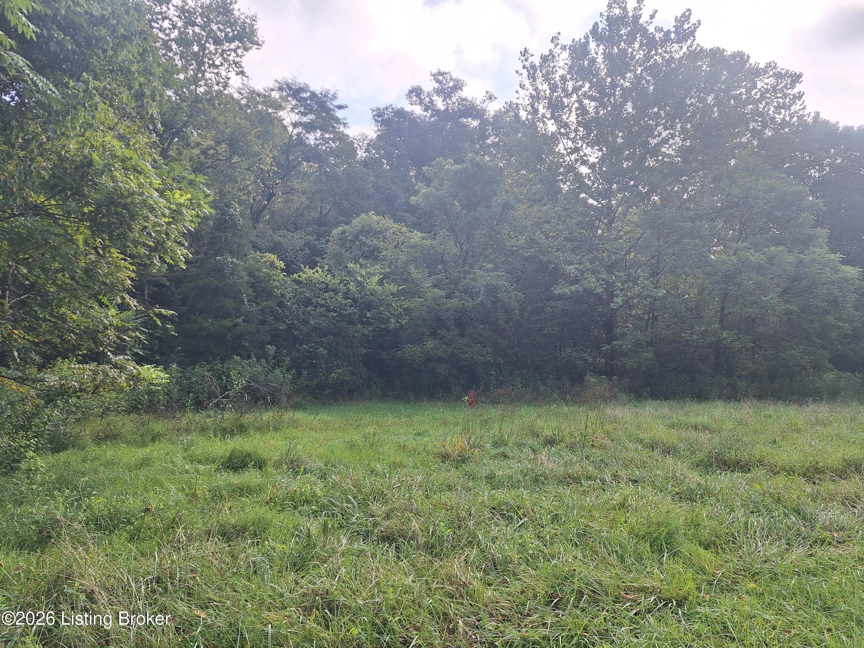 Lot 8a Rebel Ridge Rd Property Photo 2