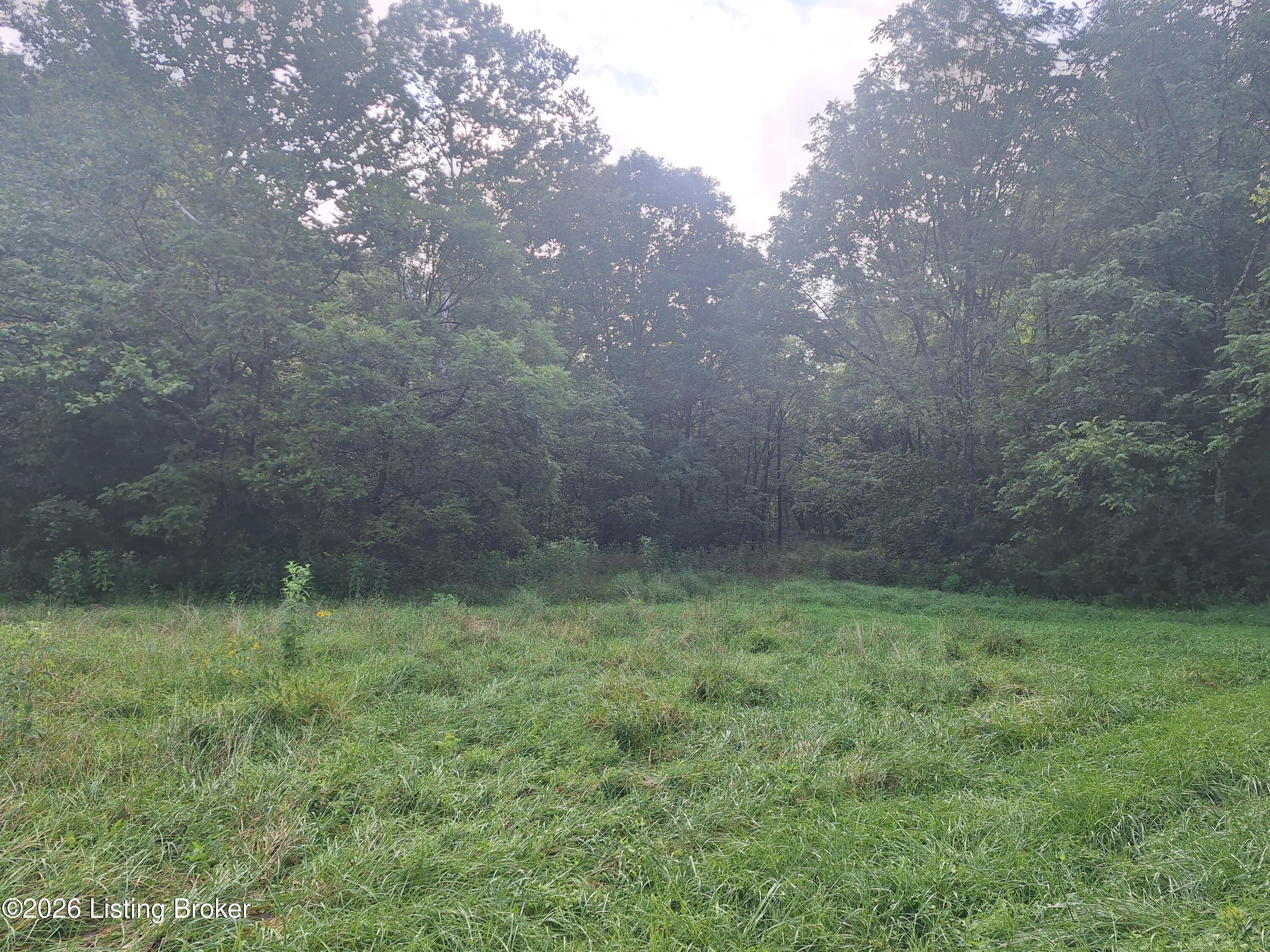 Lot 8a Rebel Ridge Rd Property Photo 3