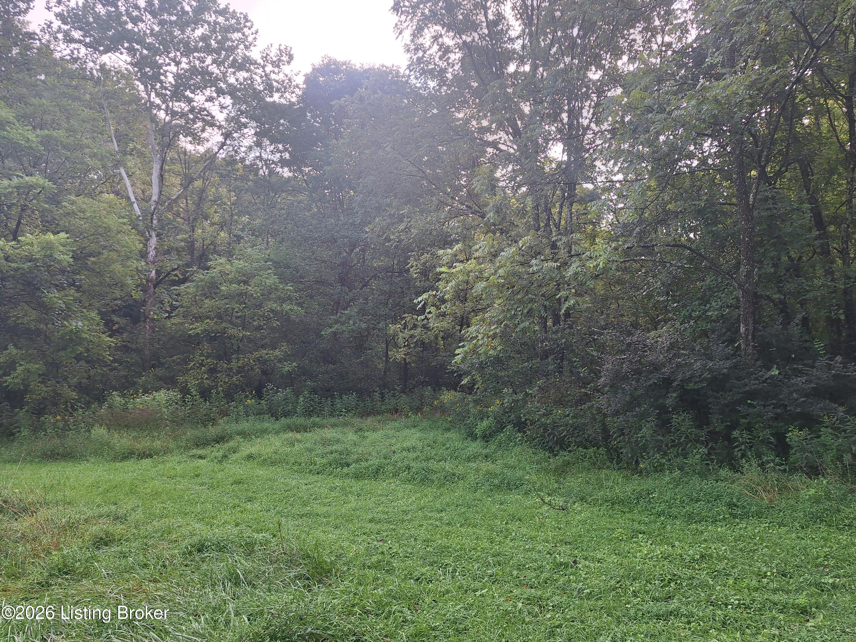 Lot 8a Rebel Ridge Rd Property Photo 4