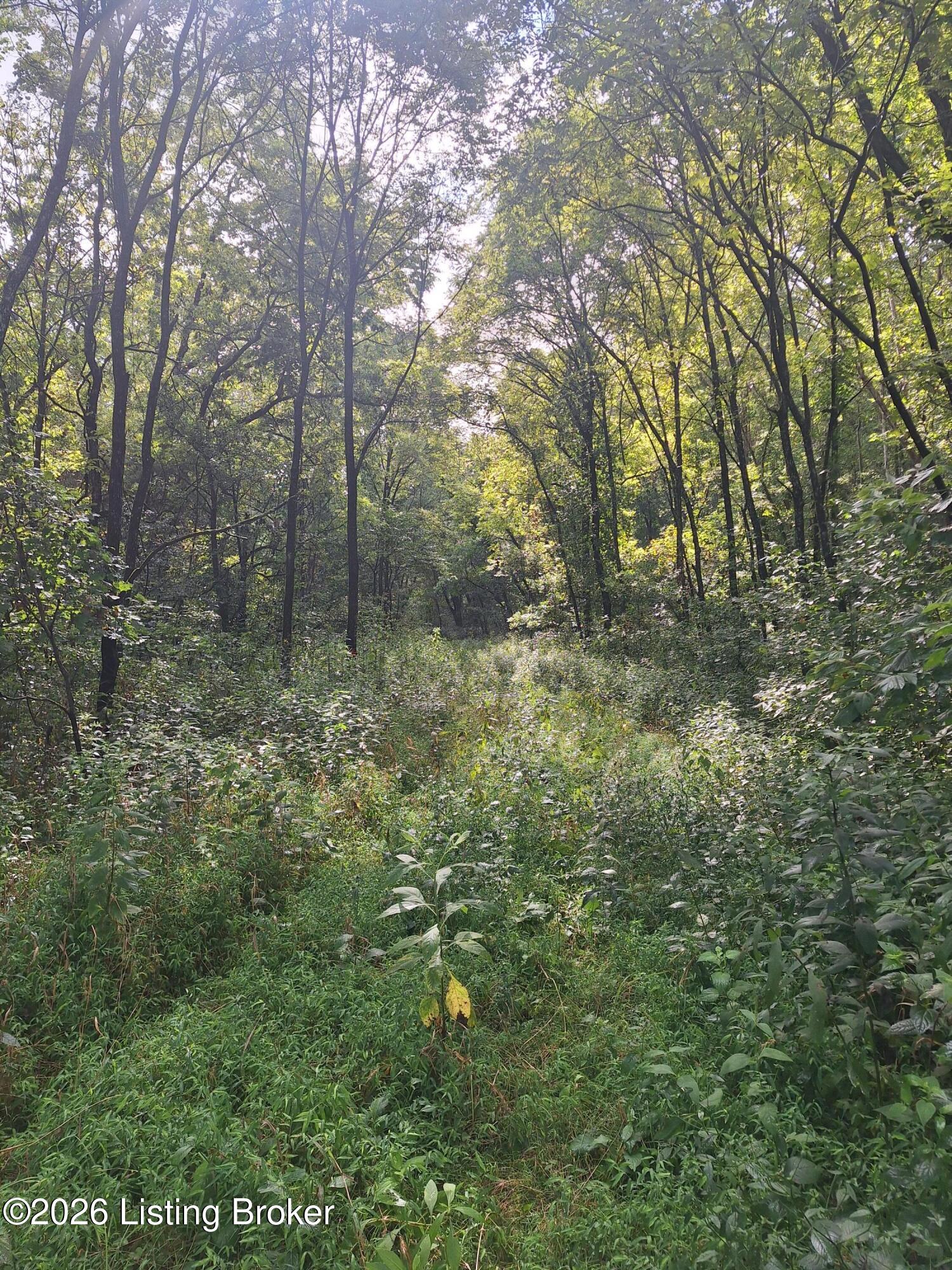 Lot 8a Rebel Ridge Rd Property Photo 5