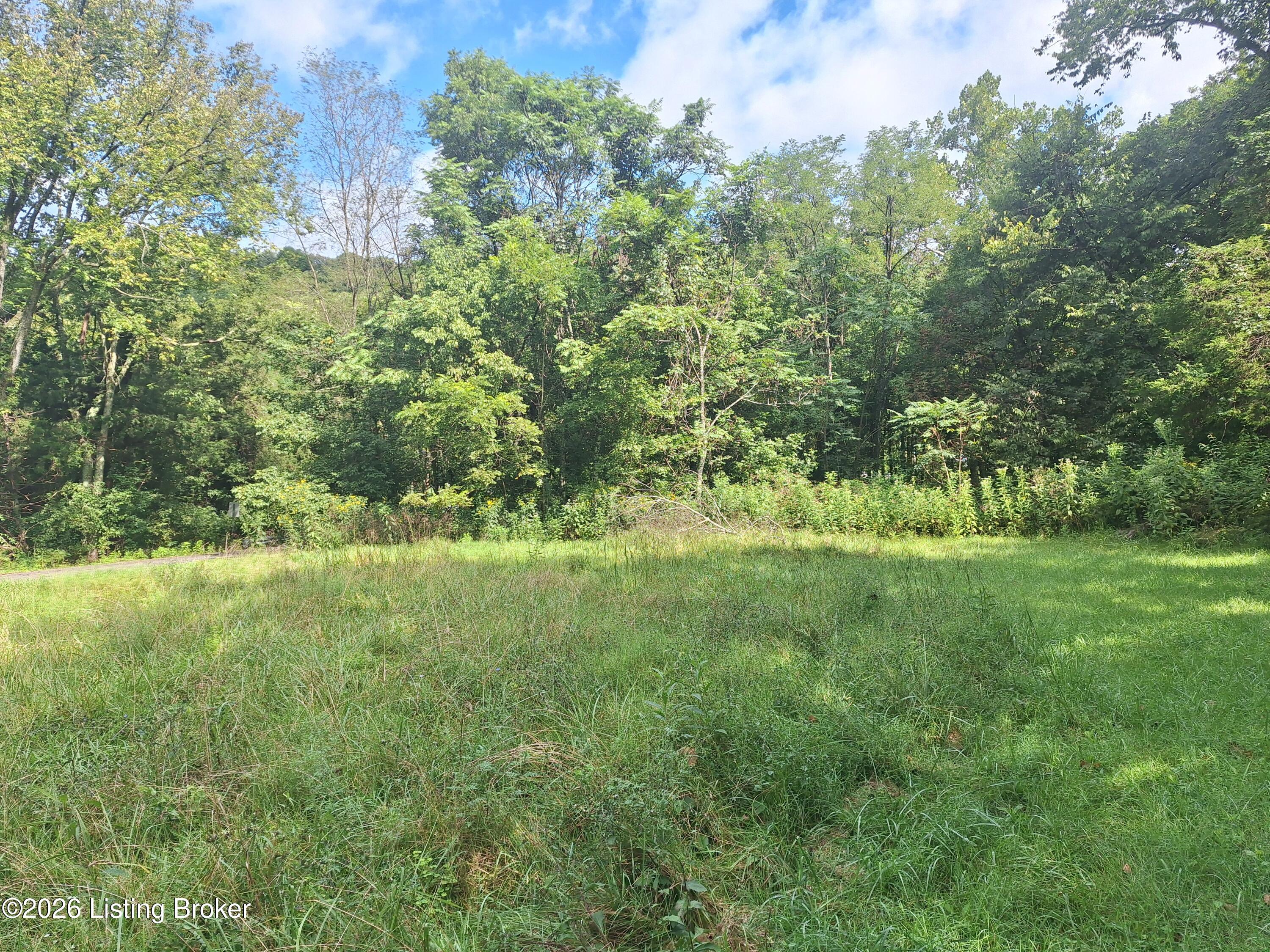 Lot 8a Rebel Ridge Rd Property Photo 7