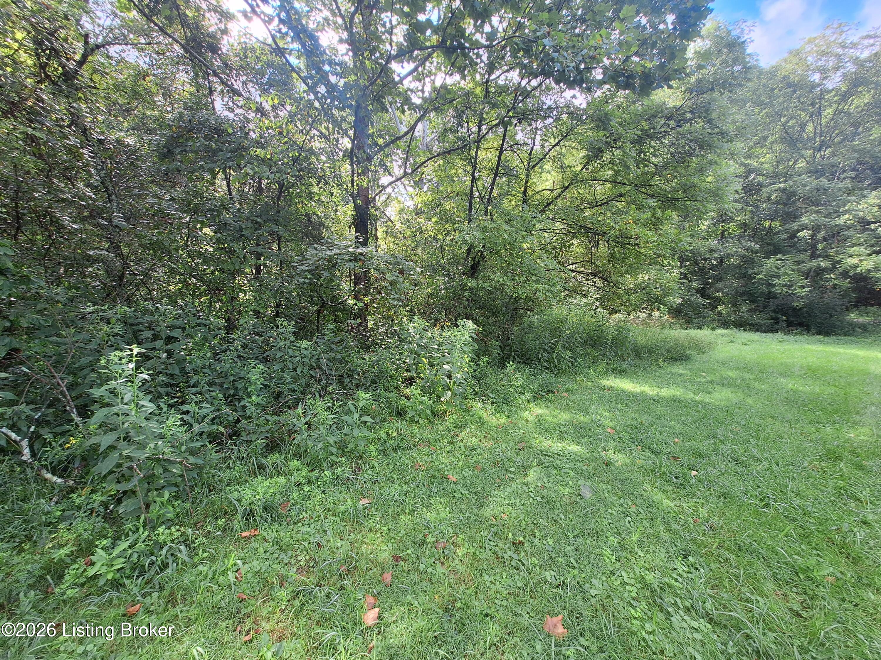 Lot 8a Rebel Ridge Rd Property Photo 12
