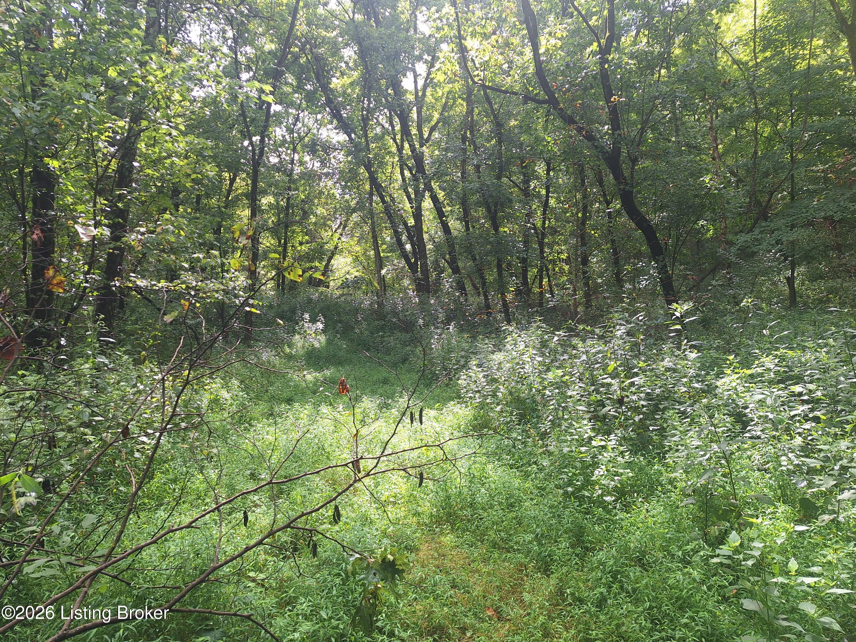 Lot 8a Rebel Ridge Rd Property Photo 17