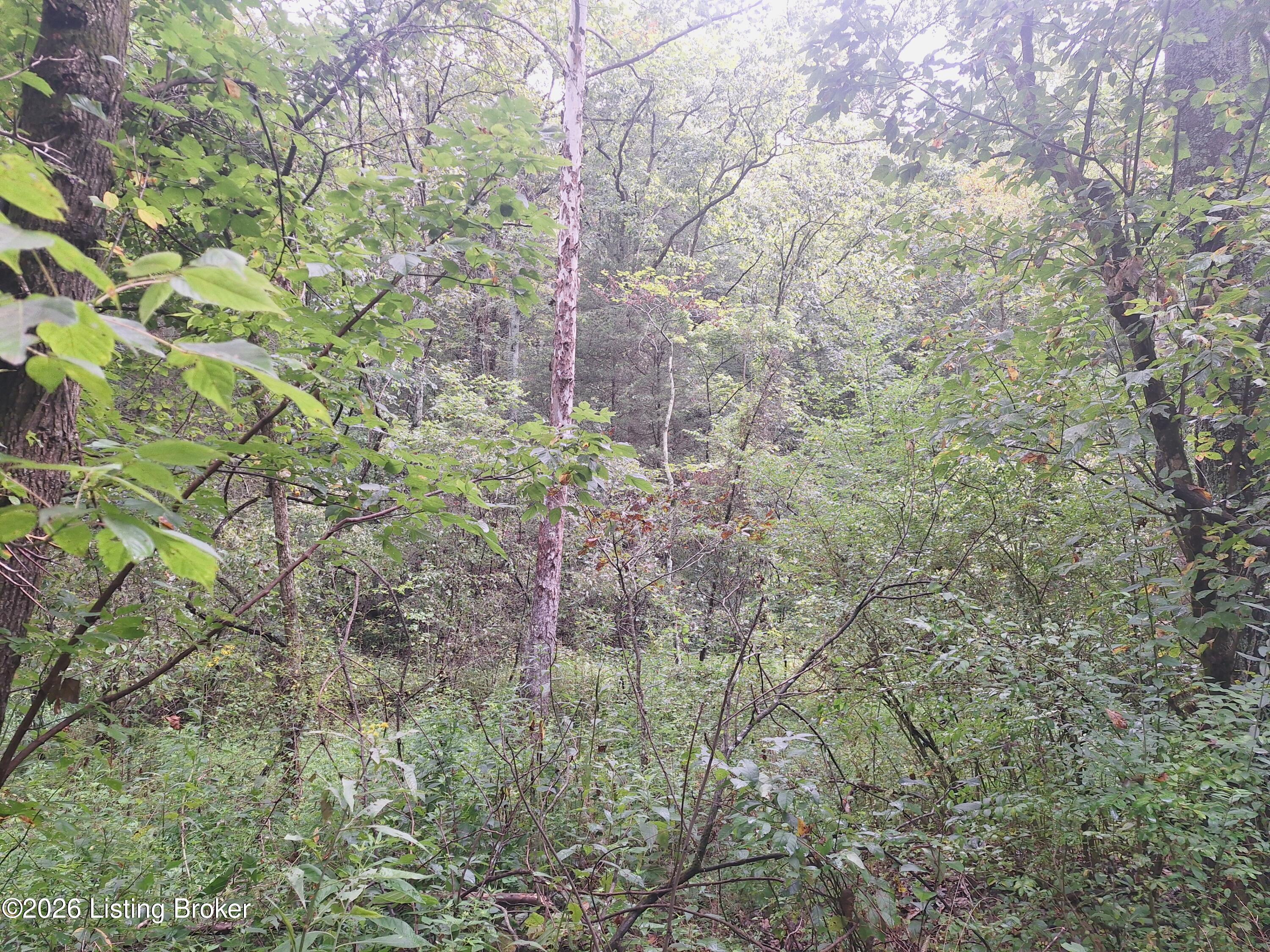 Lot 8a Rebel Ridge Rd Property Photo 18