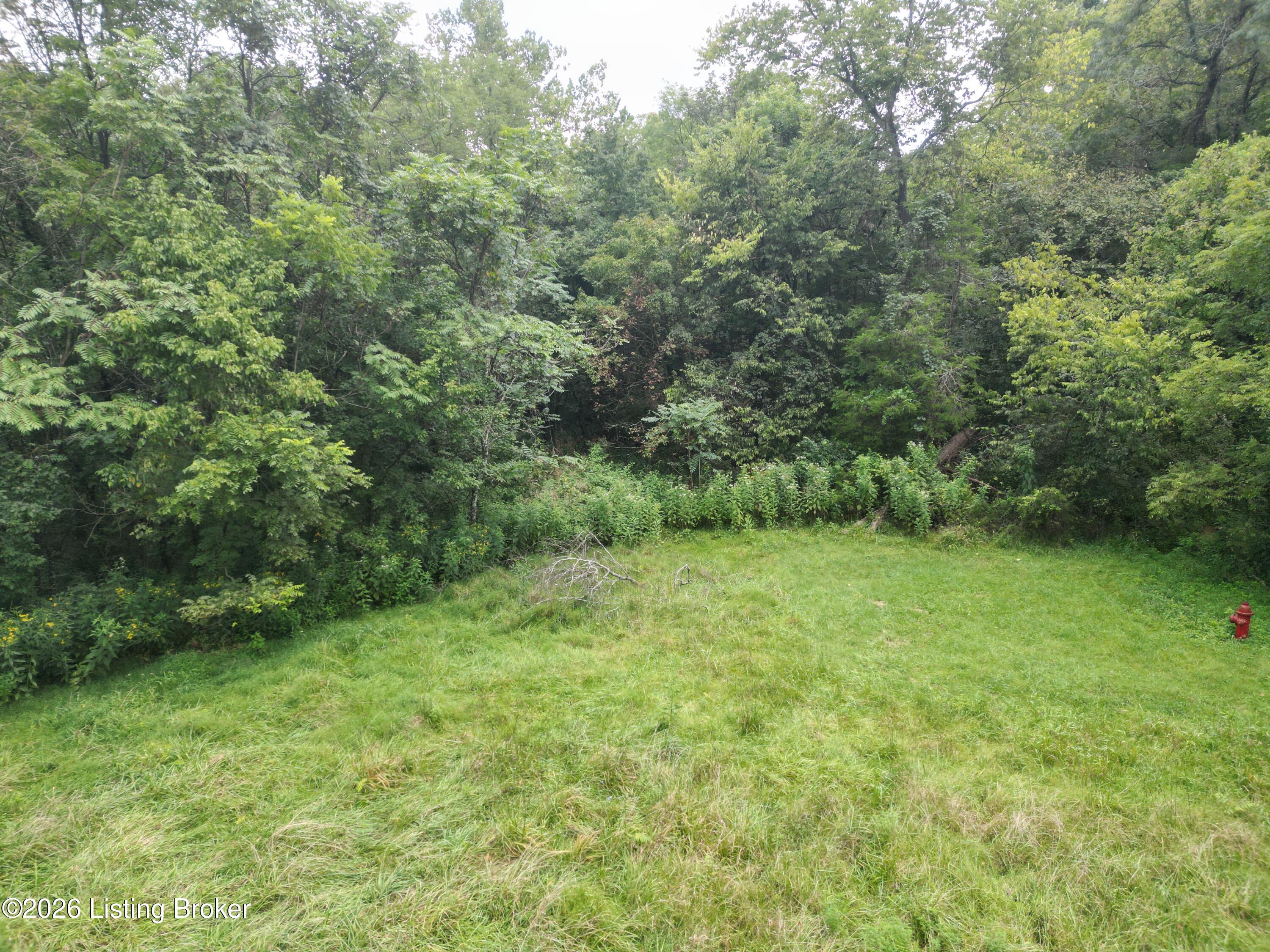 Lot 8a Rebel Ridge Rd Property Photo 19