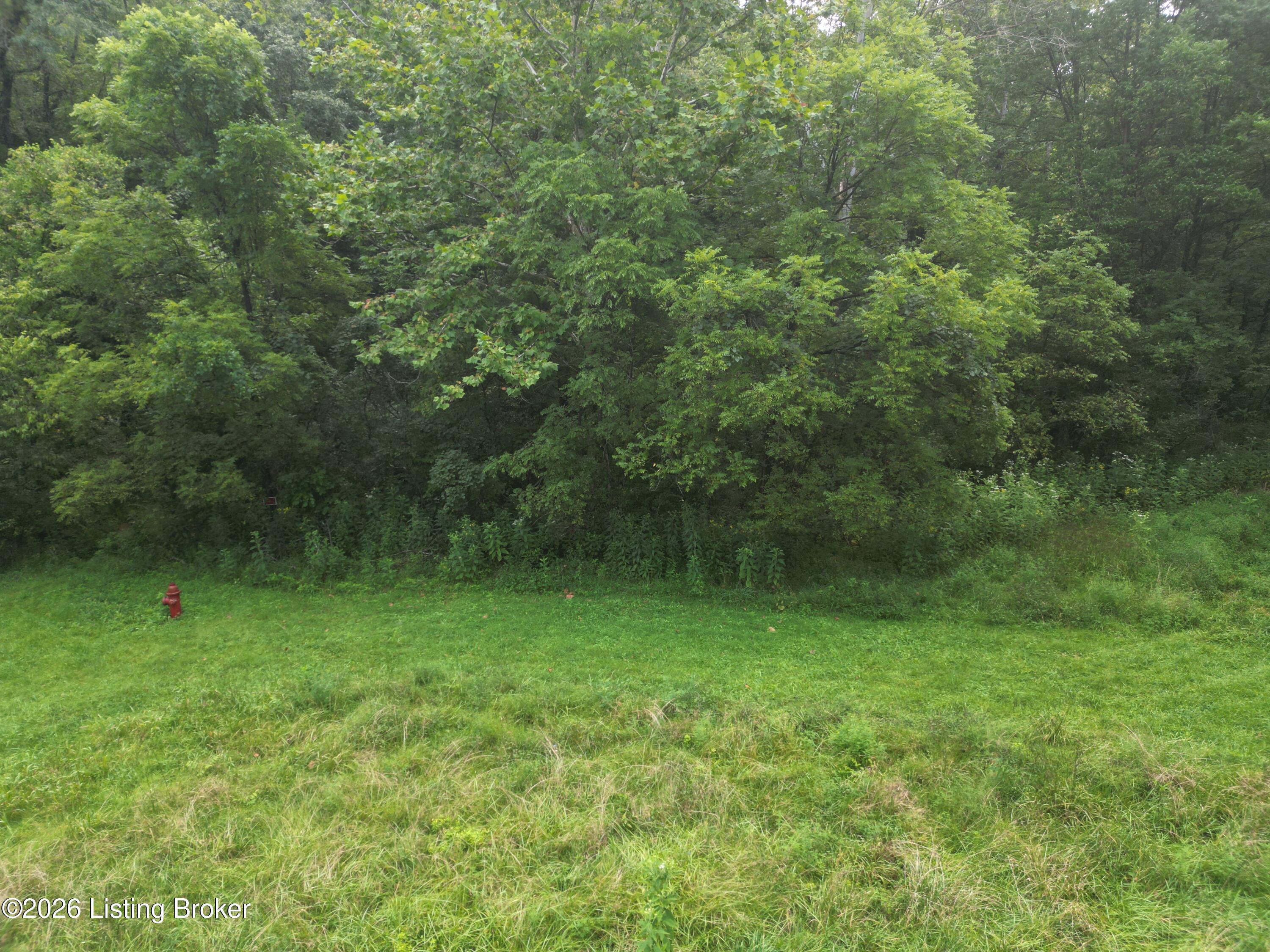 Lot 8a Rebel Ridge Rd Property Photo 20