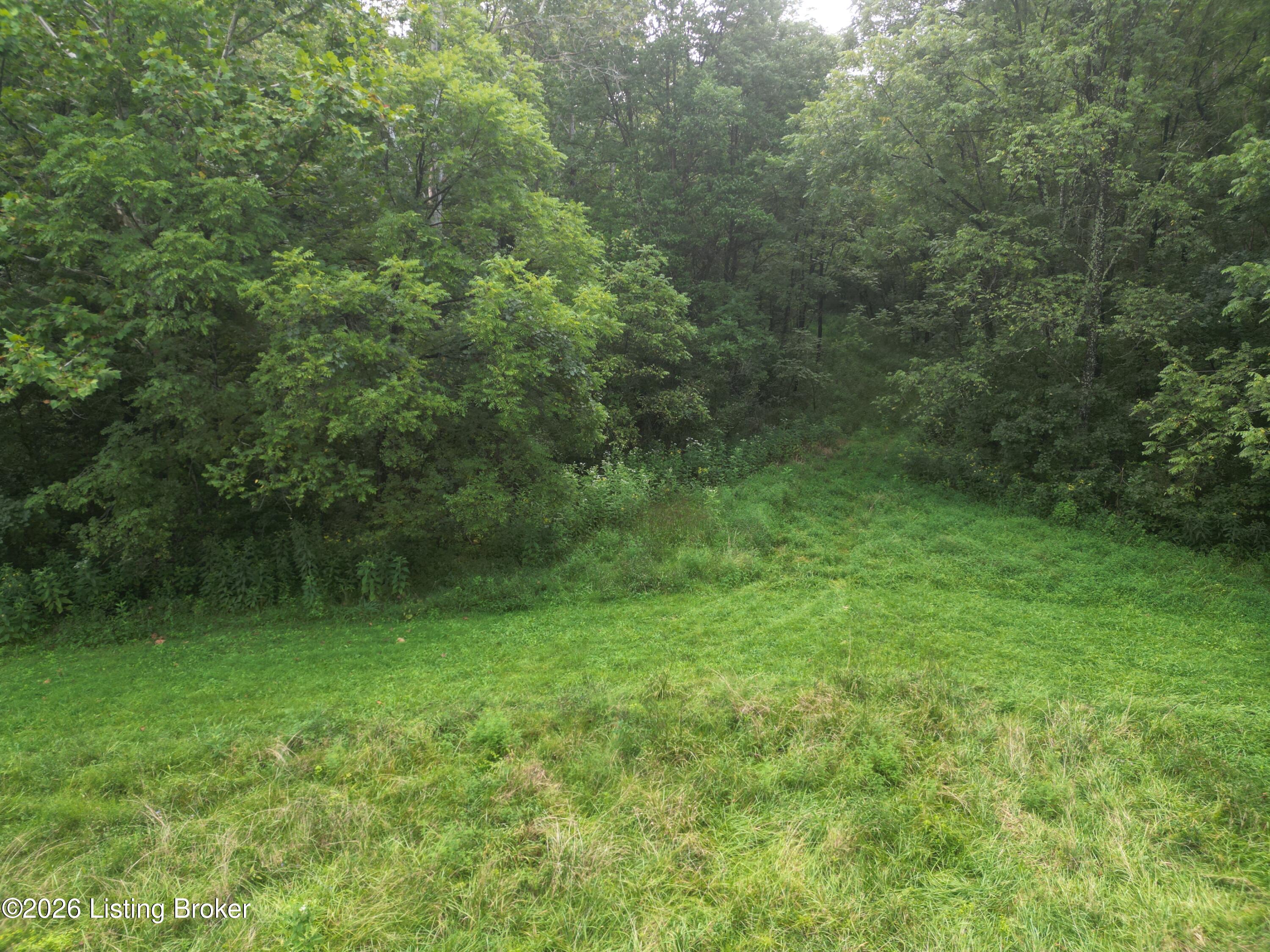 Lot 8a Rebel Ridge Rd Property Photo 21