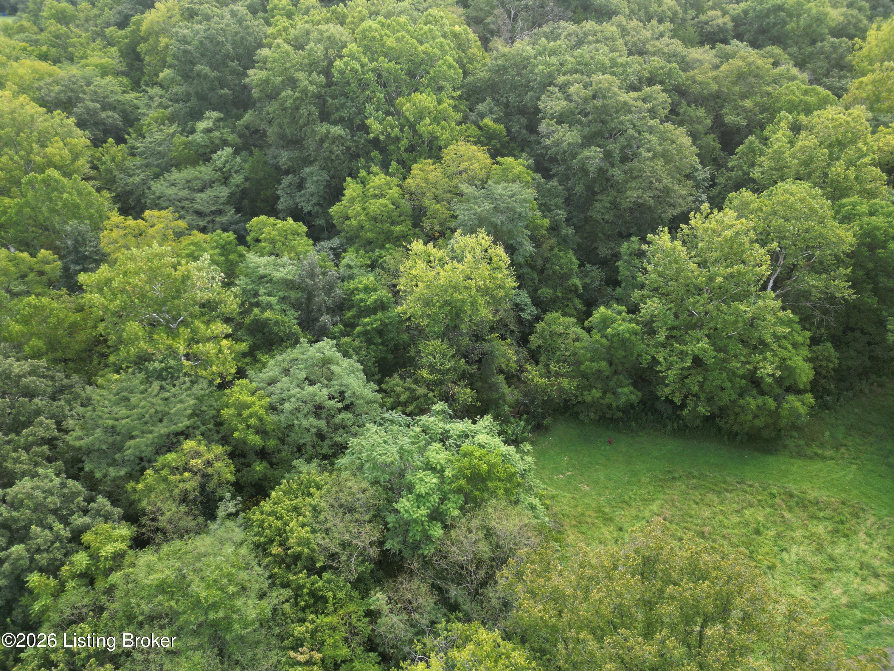 Lot 8a Rebel Ridge Rd Property Photo 25