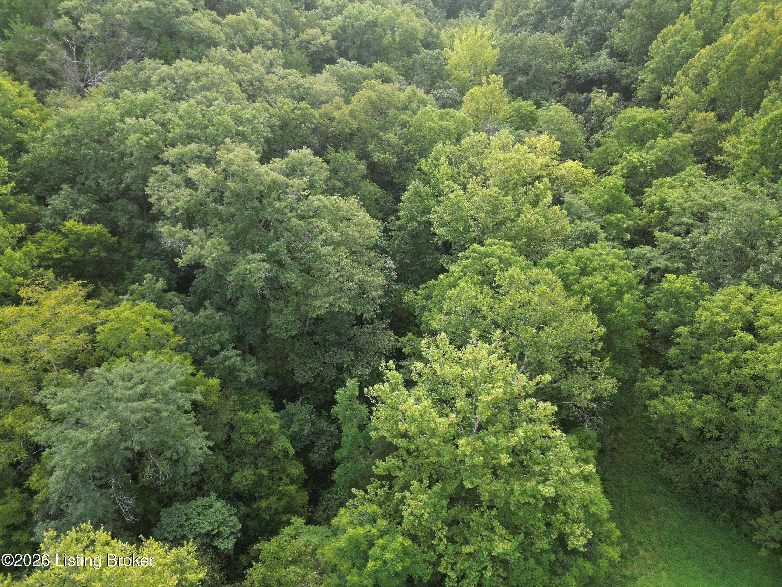Lot 8a Rebel Ridge Rd Property Photo 26