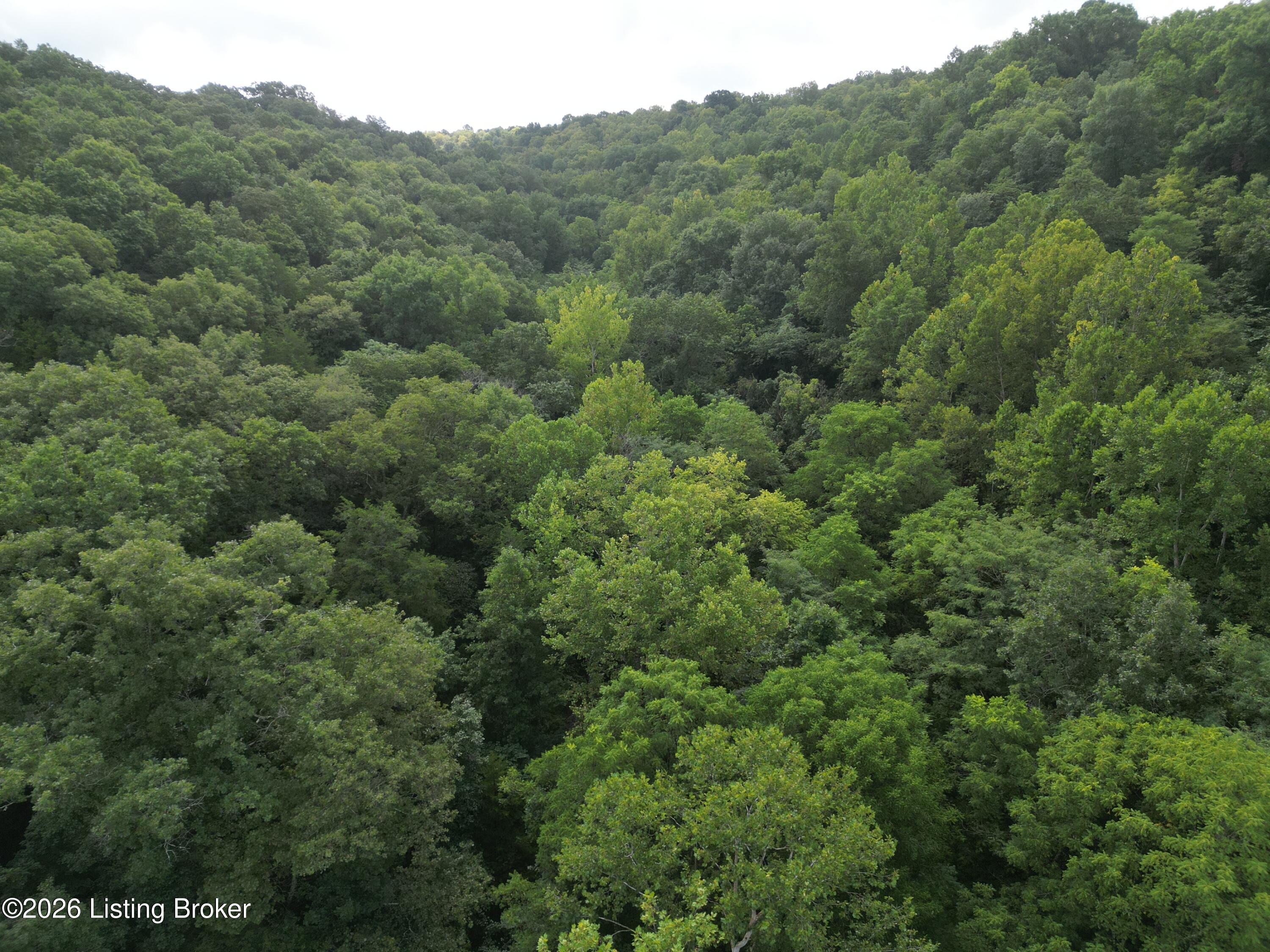 Lot 8a Rebel Ridge Rd Property Photo 27