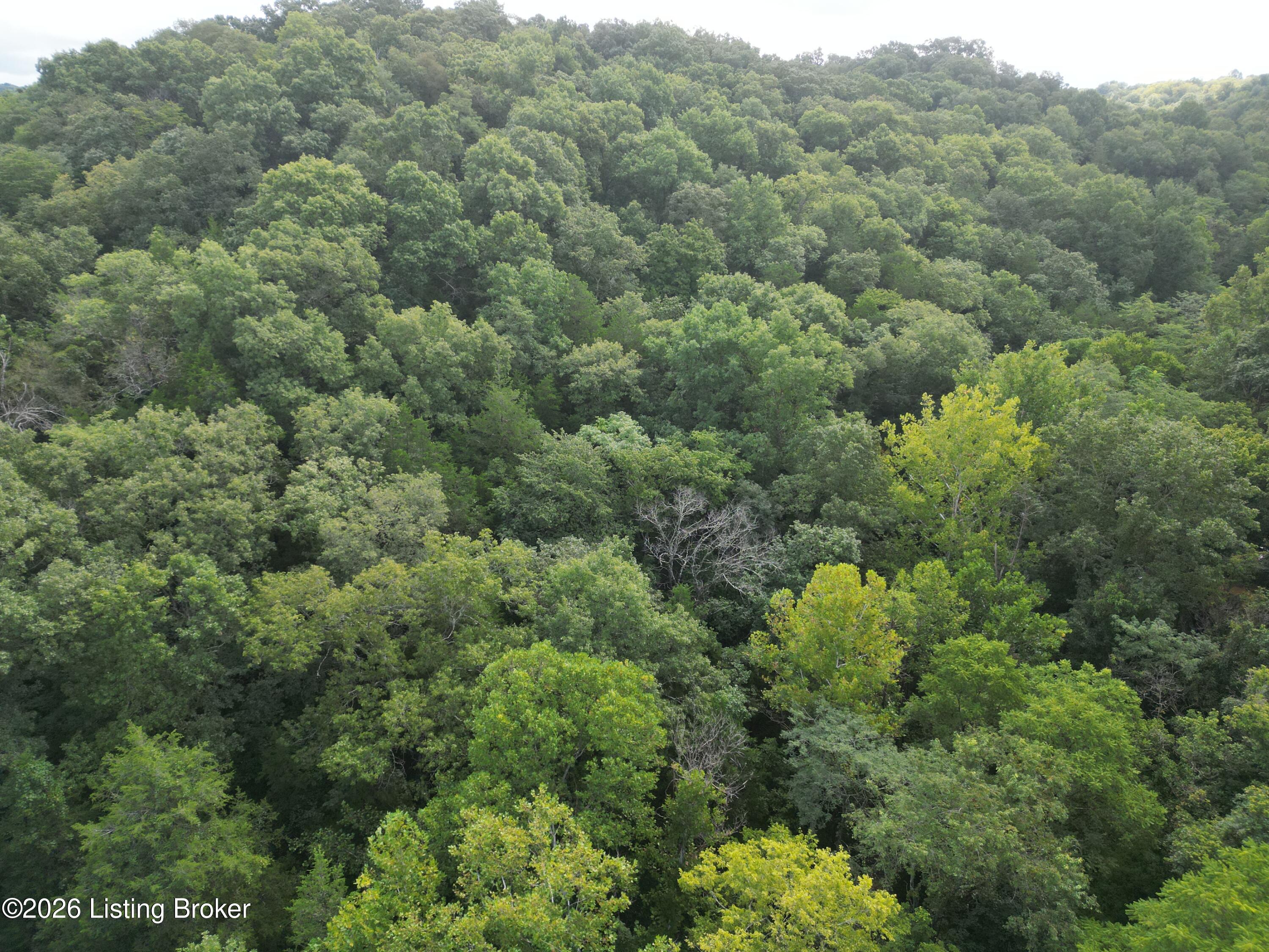 Lot 8a Rebel Ridge Rd Property Photo 28