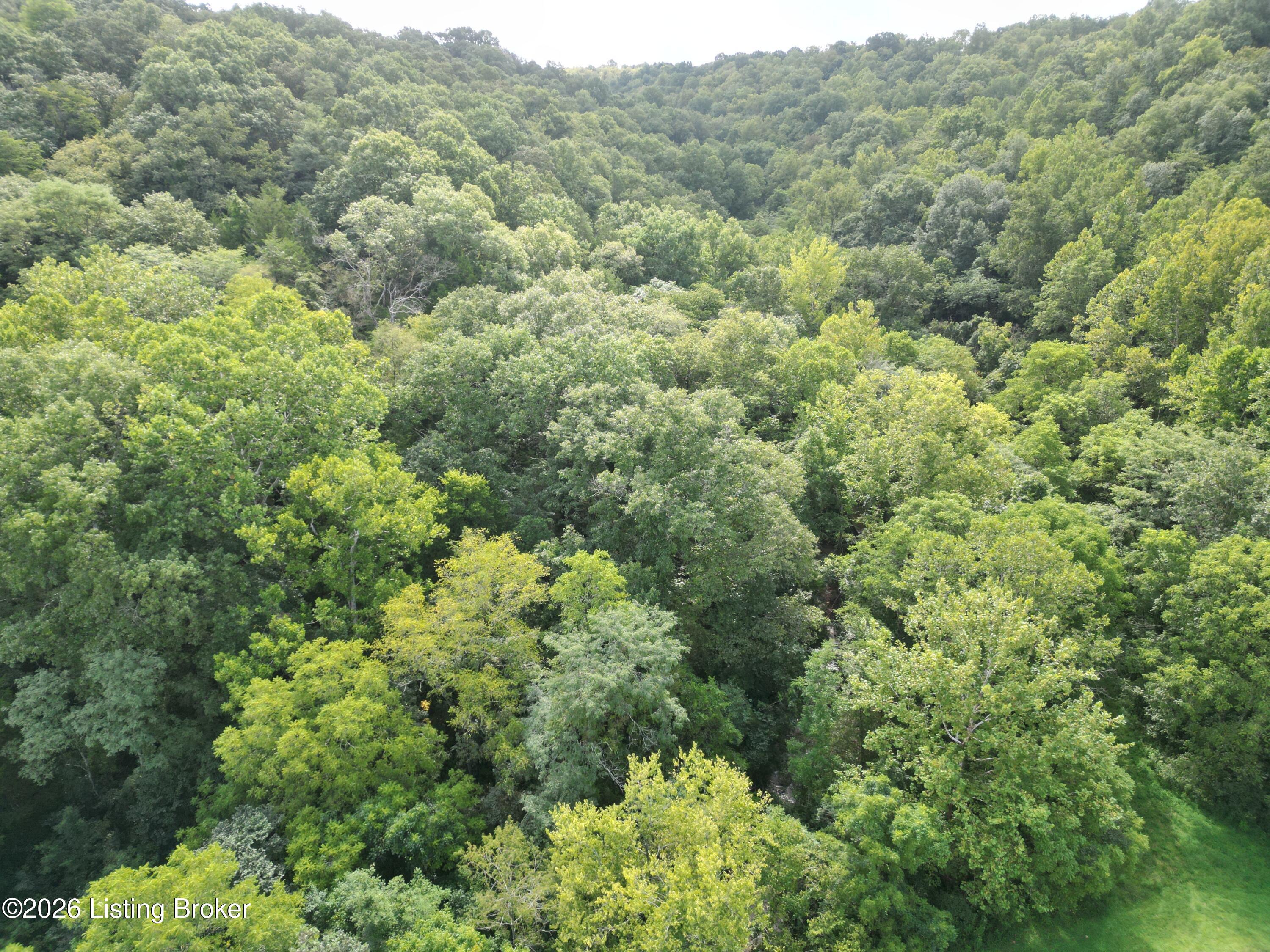 Lot 8a Rebel Ridge Rd Property Photo 30