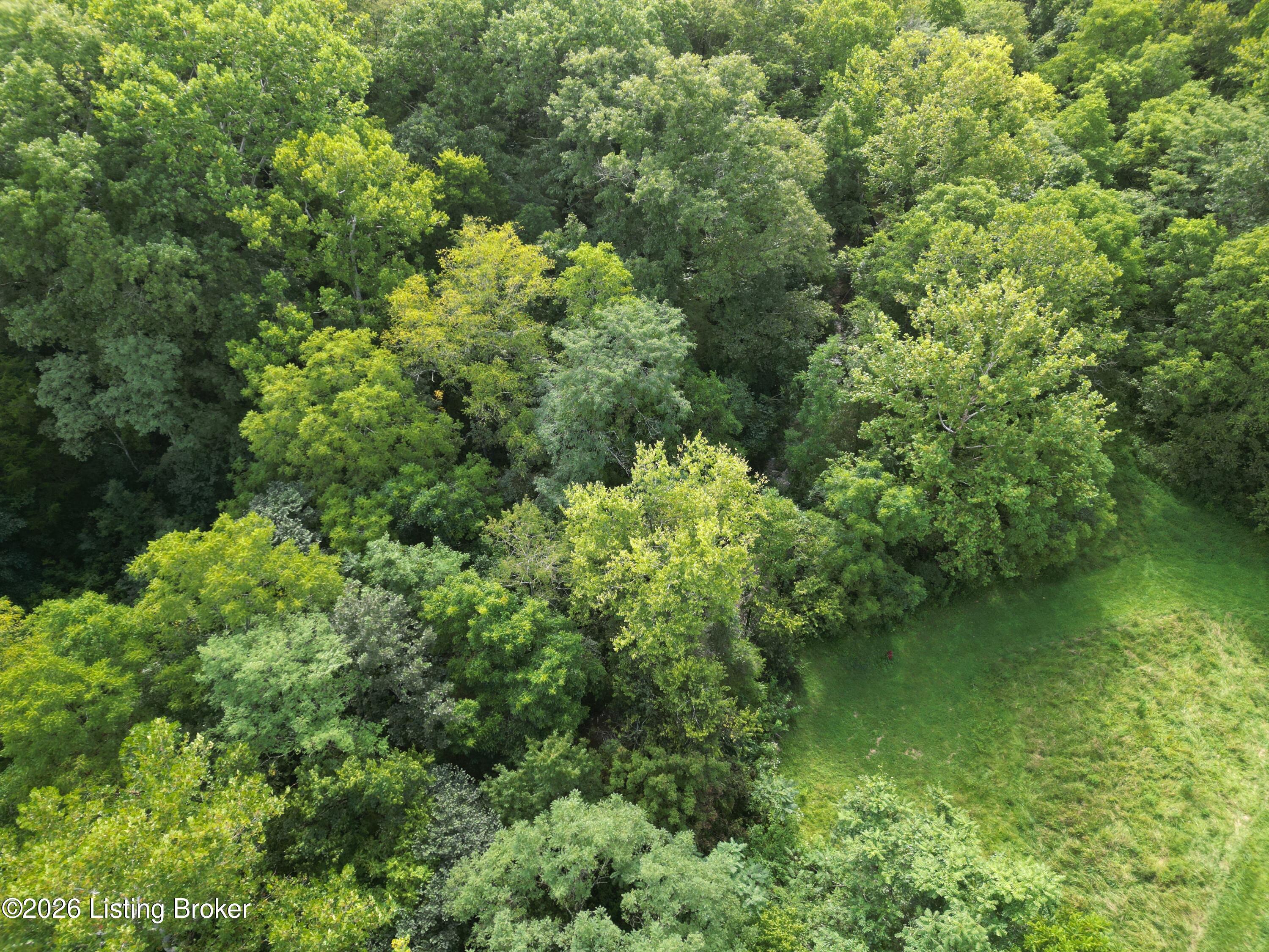Lot 8a Rebel Ridge Rd Property Photo 31