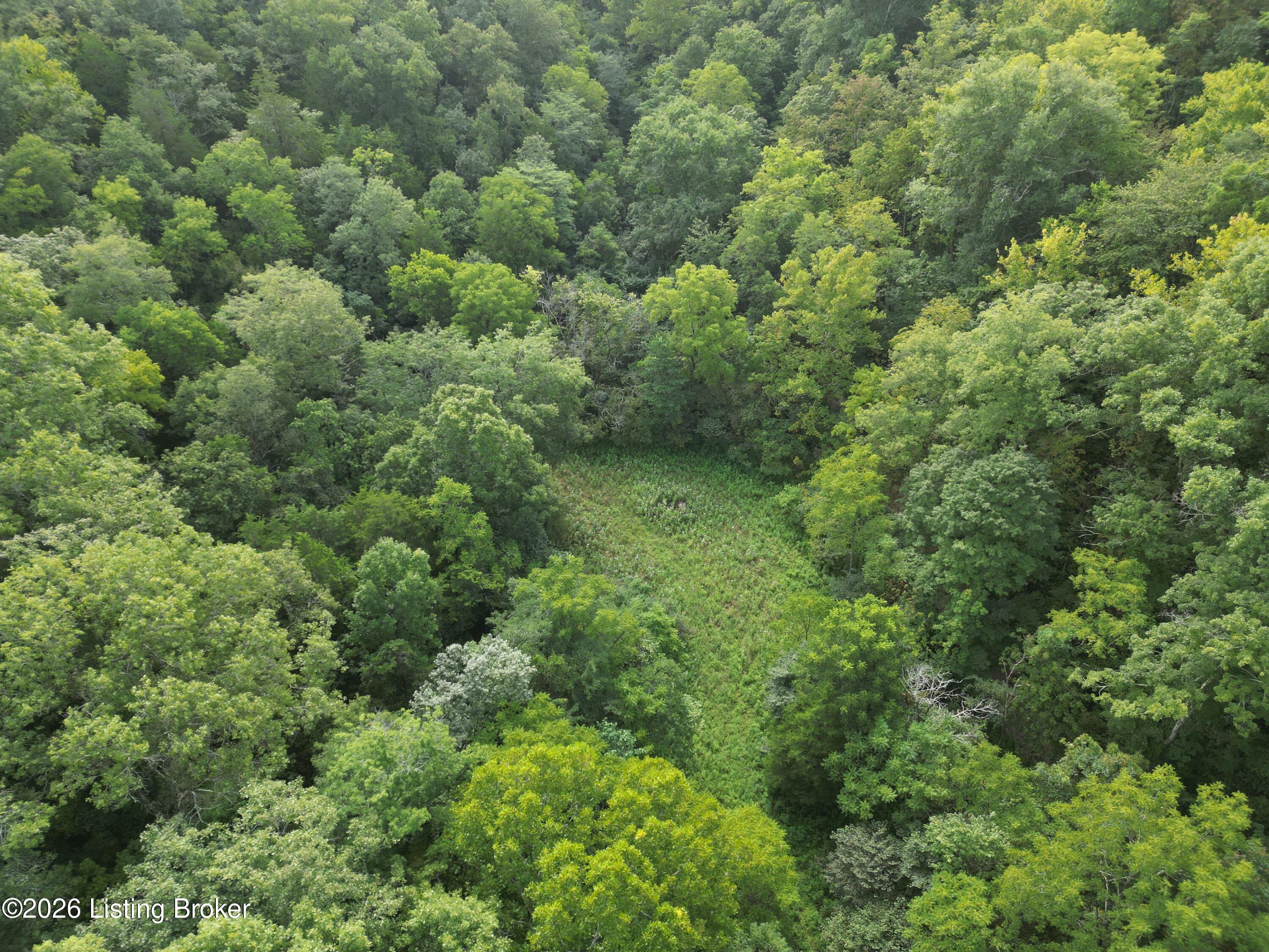 Lot 8a Rebel Ridge Rd Property Photo 32