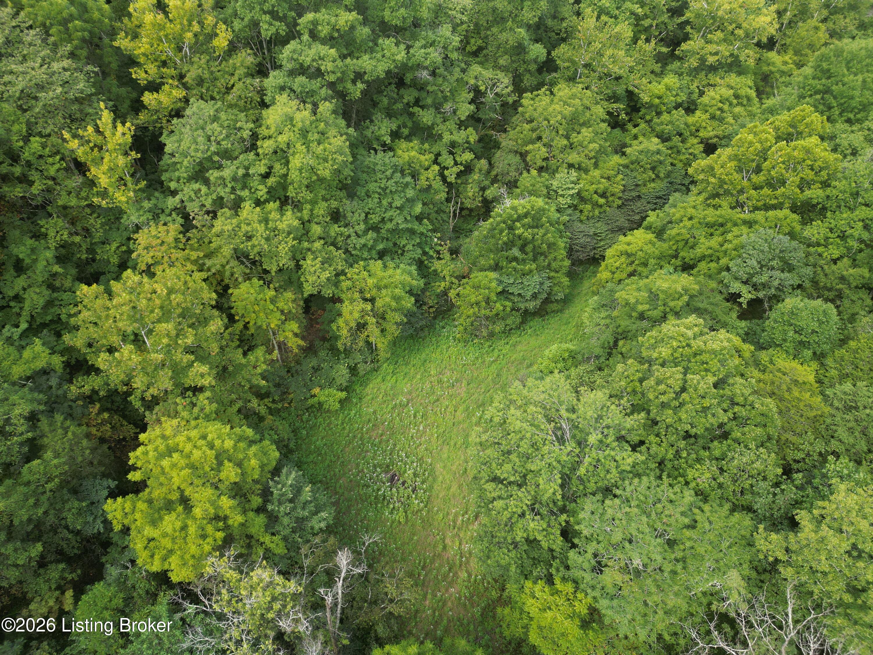 Lot 8a Rebel Ridge Rd Property Photo 33