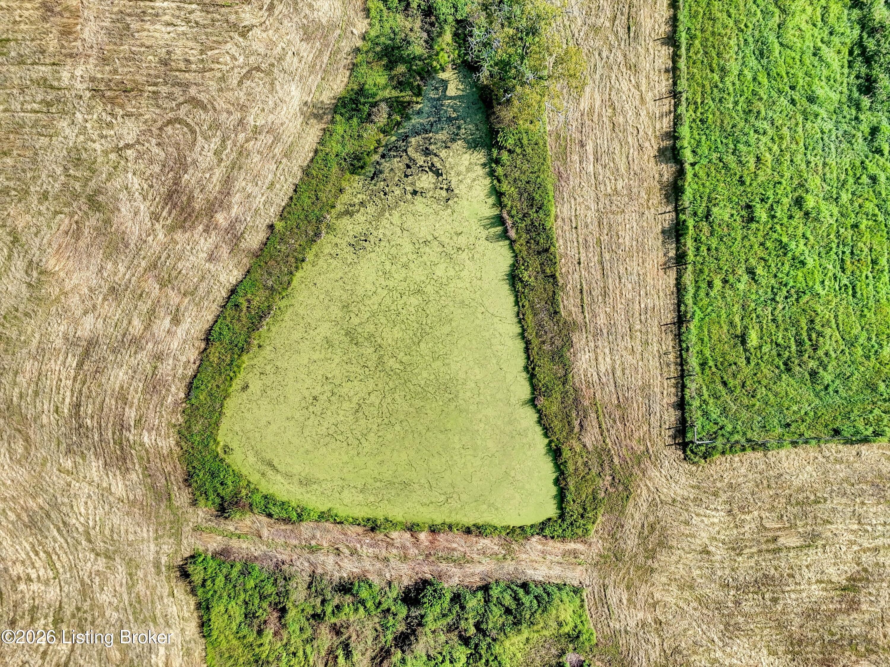 1801 Yates Cooney Neck Rd Property Photo 10