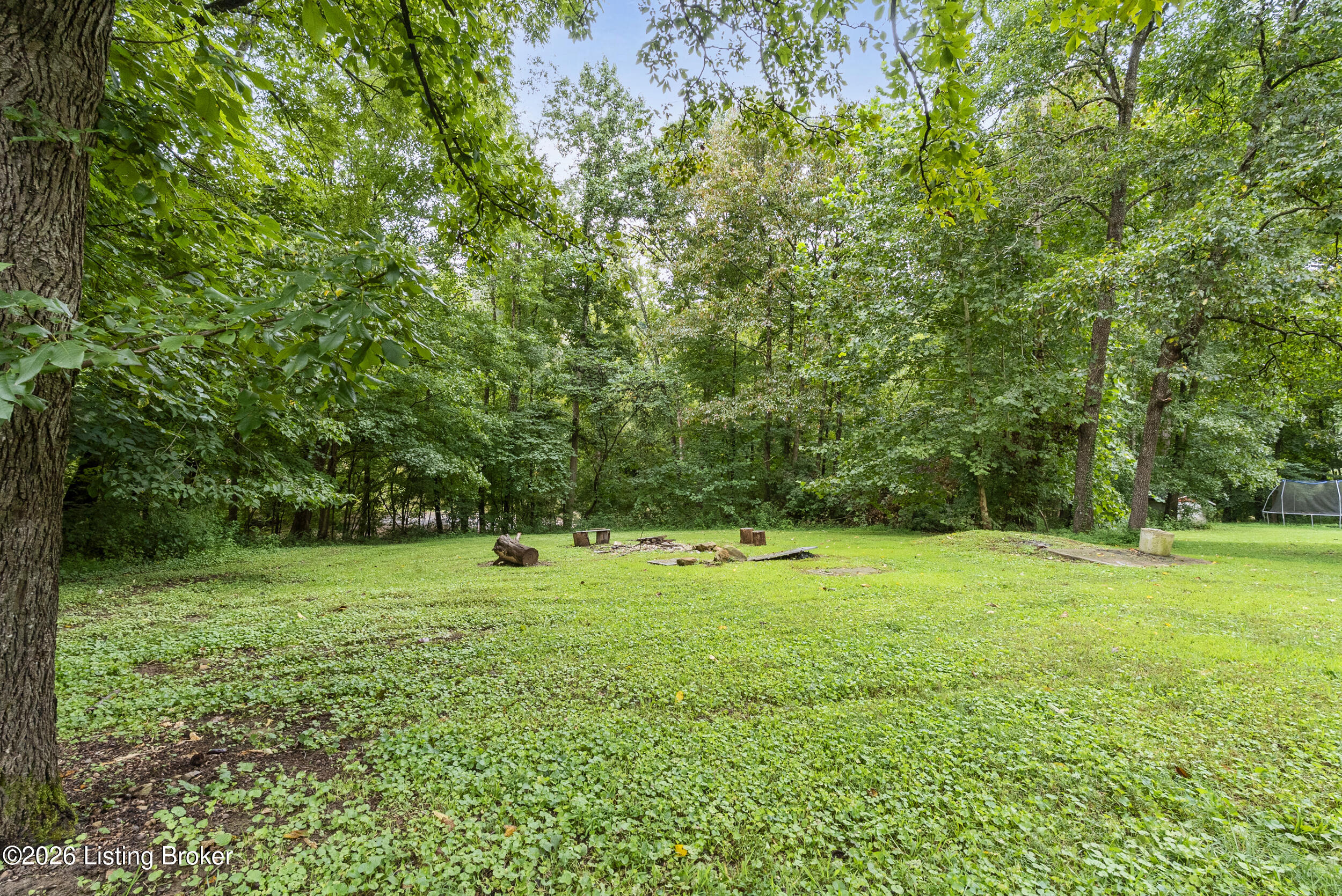 368 Adkins Camp Loop Property Photo 14