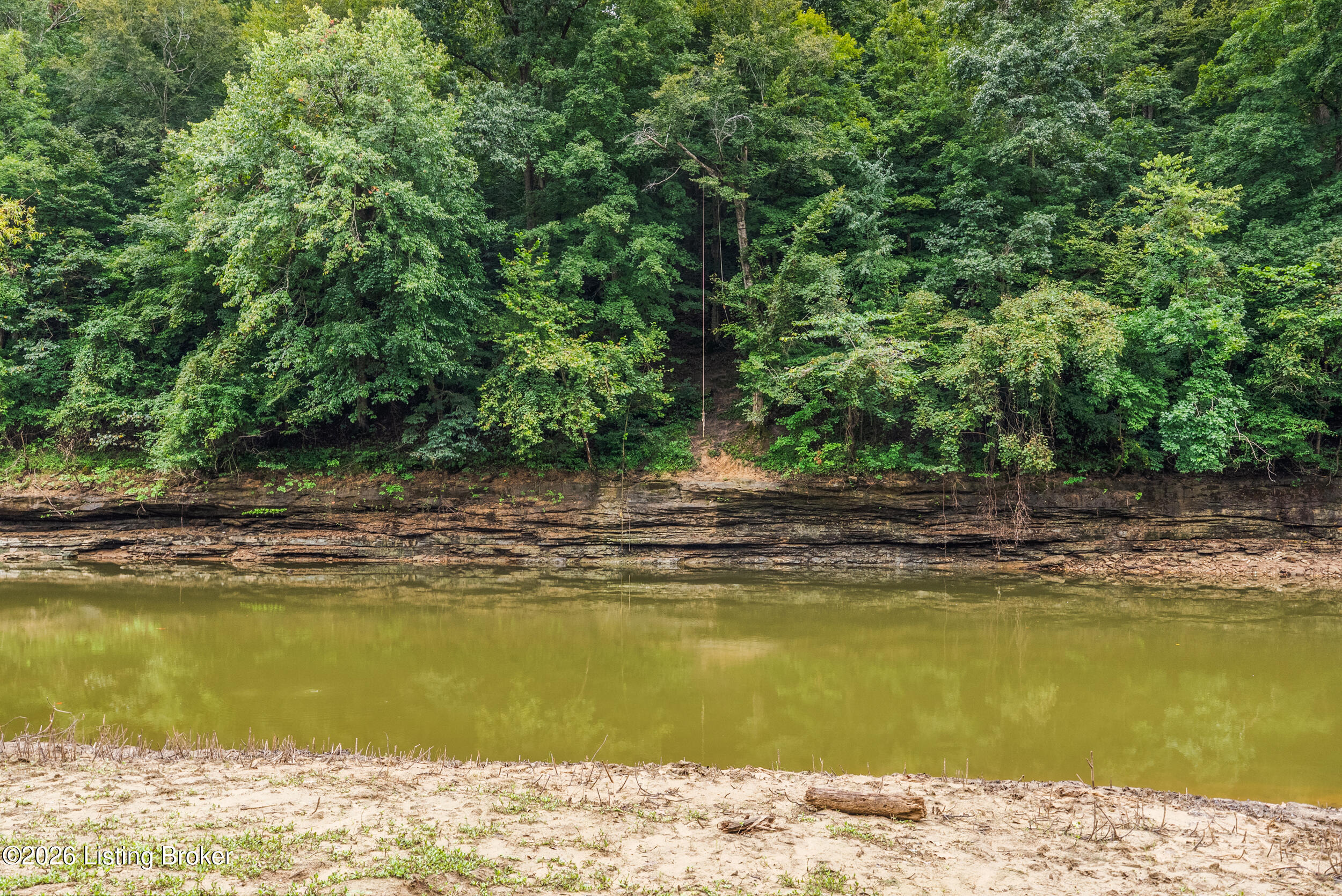 368 Adkins Camp Loop Property Photo 15