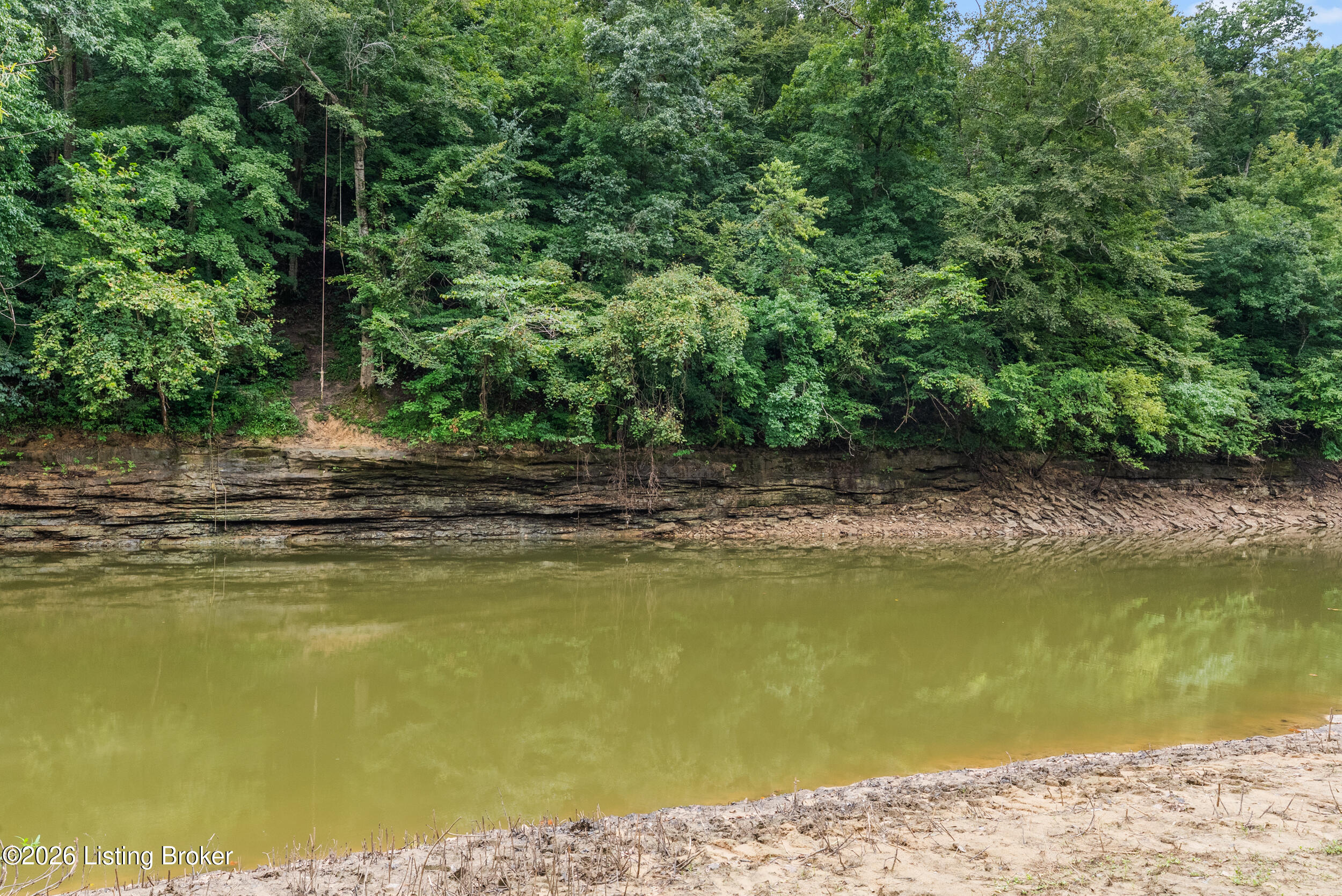 368 Adkins Camp Loop Property Photo 16