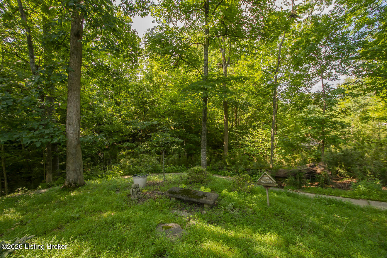 7804 Deep Trail Ct Property Photo 74