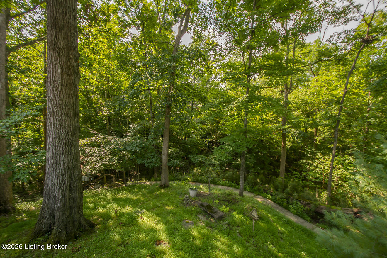 7804 Deep Trail Ct Property Photo 75