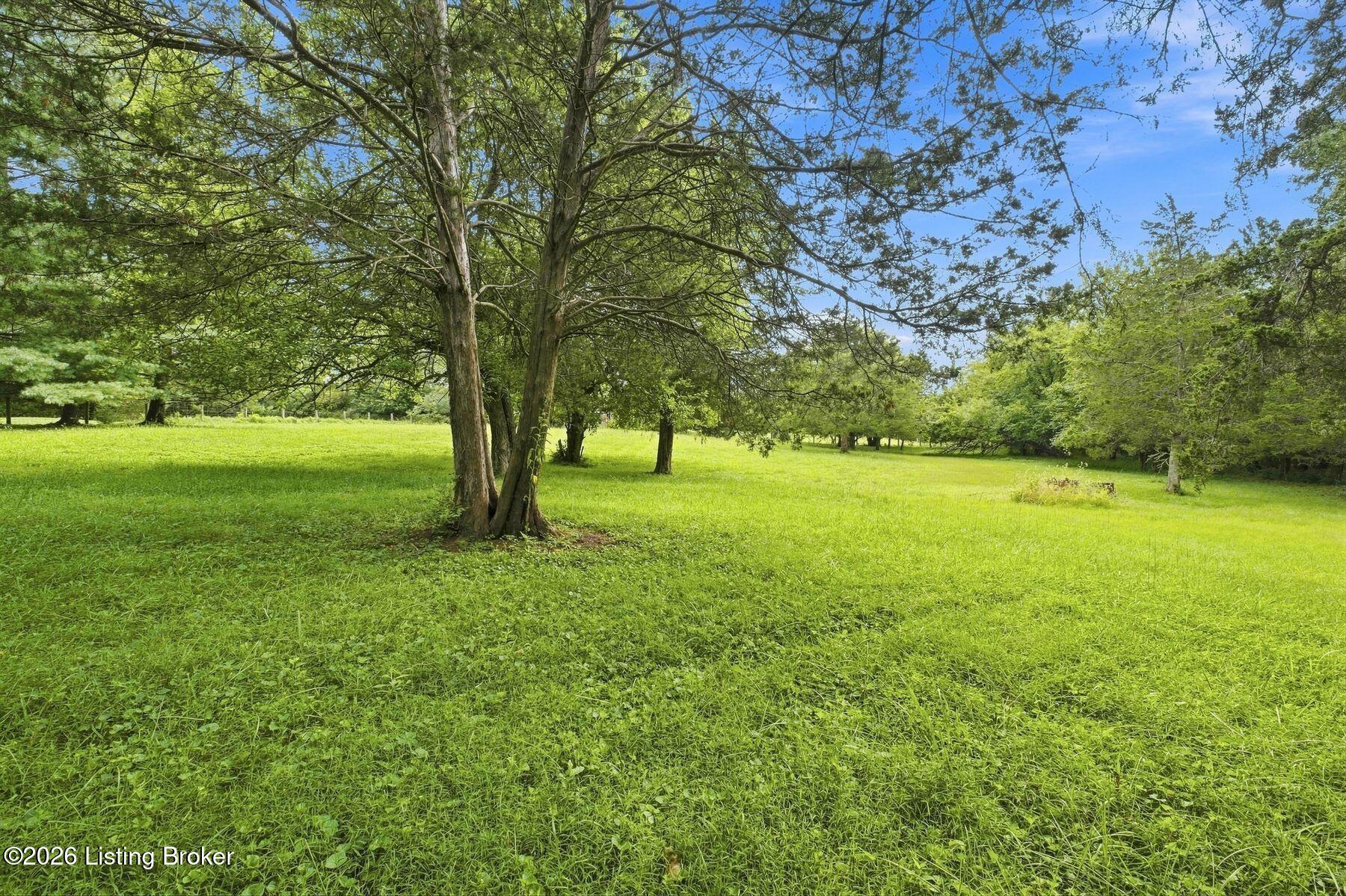3311 Borowick Cir Property Photo 4