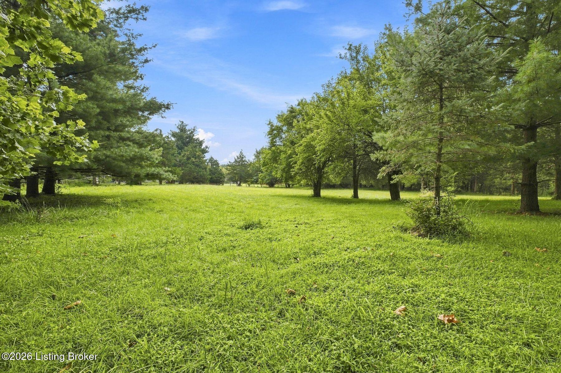 3311 Borowick Cir Property Photo 5