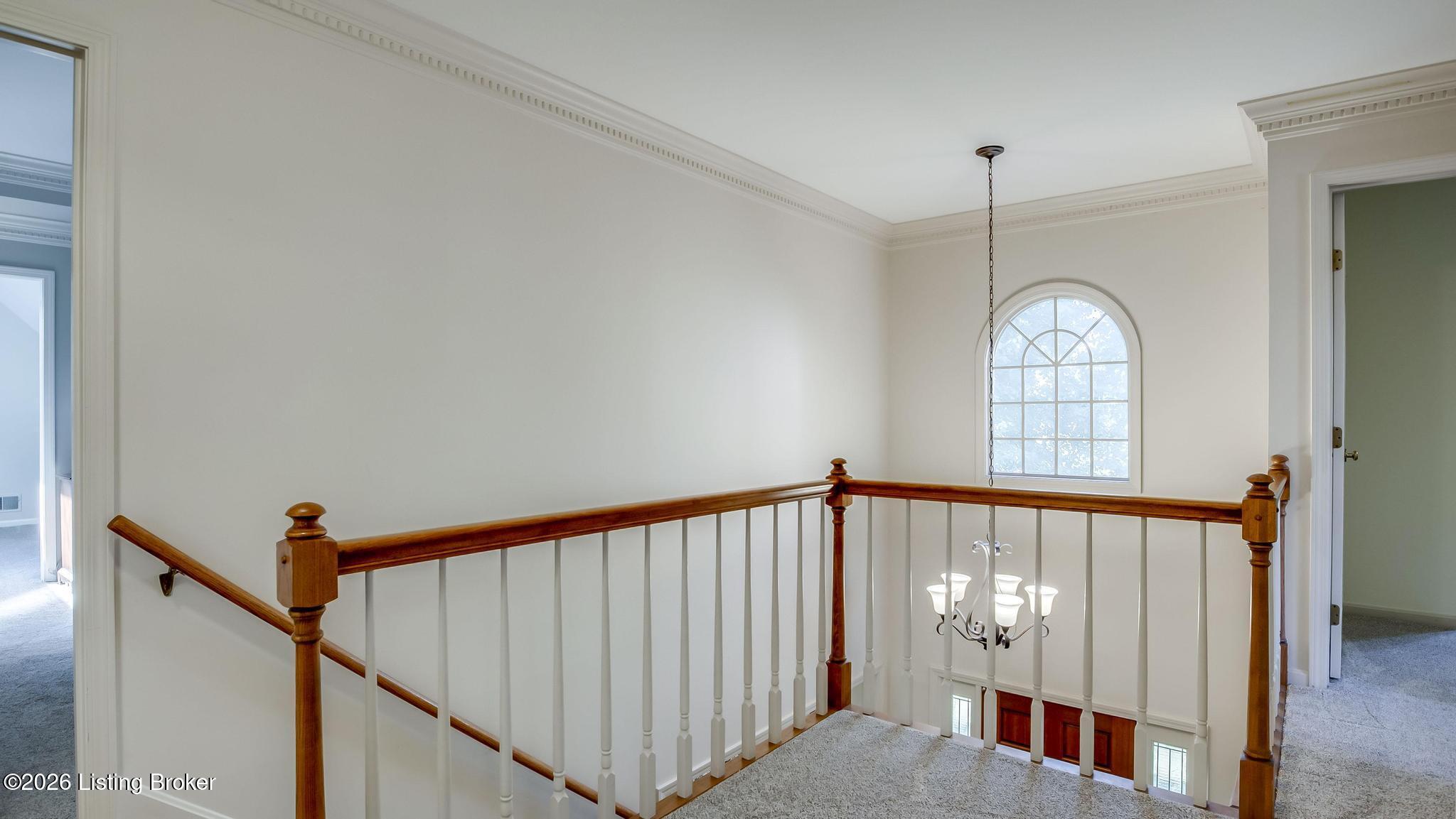 7413 Falls Ridge Ct Property Photo 39
