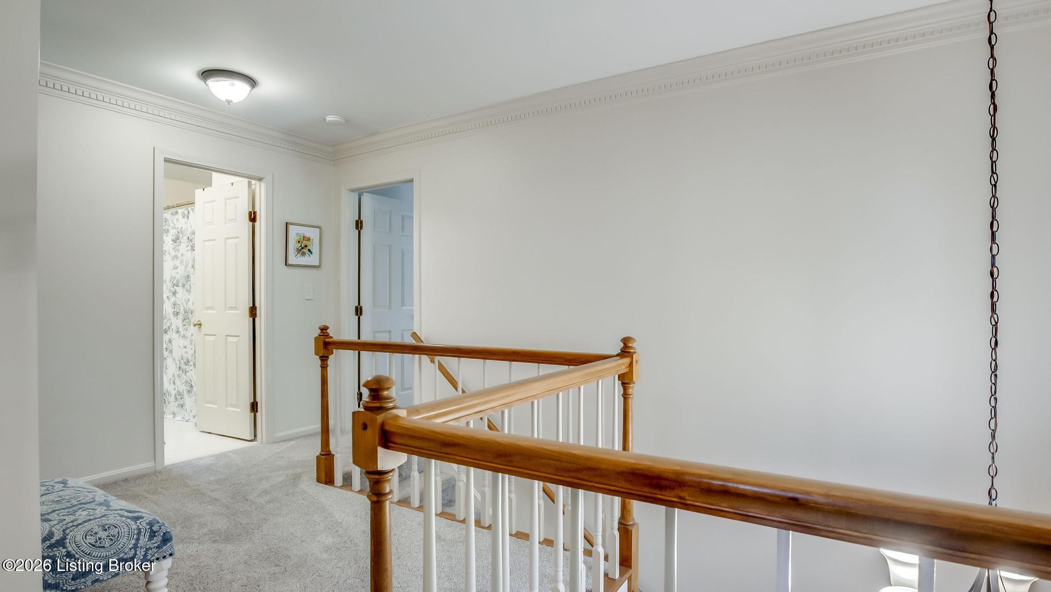7413 Falls Ridge Ct Property Photo 40