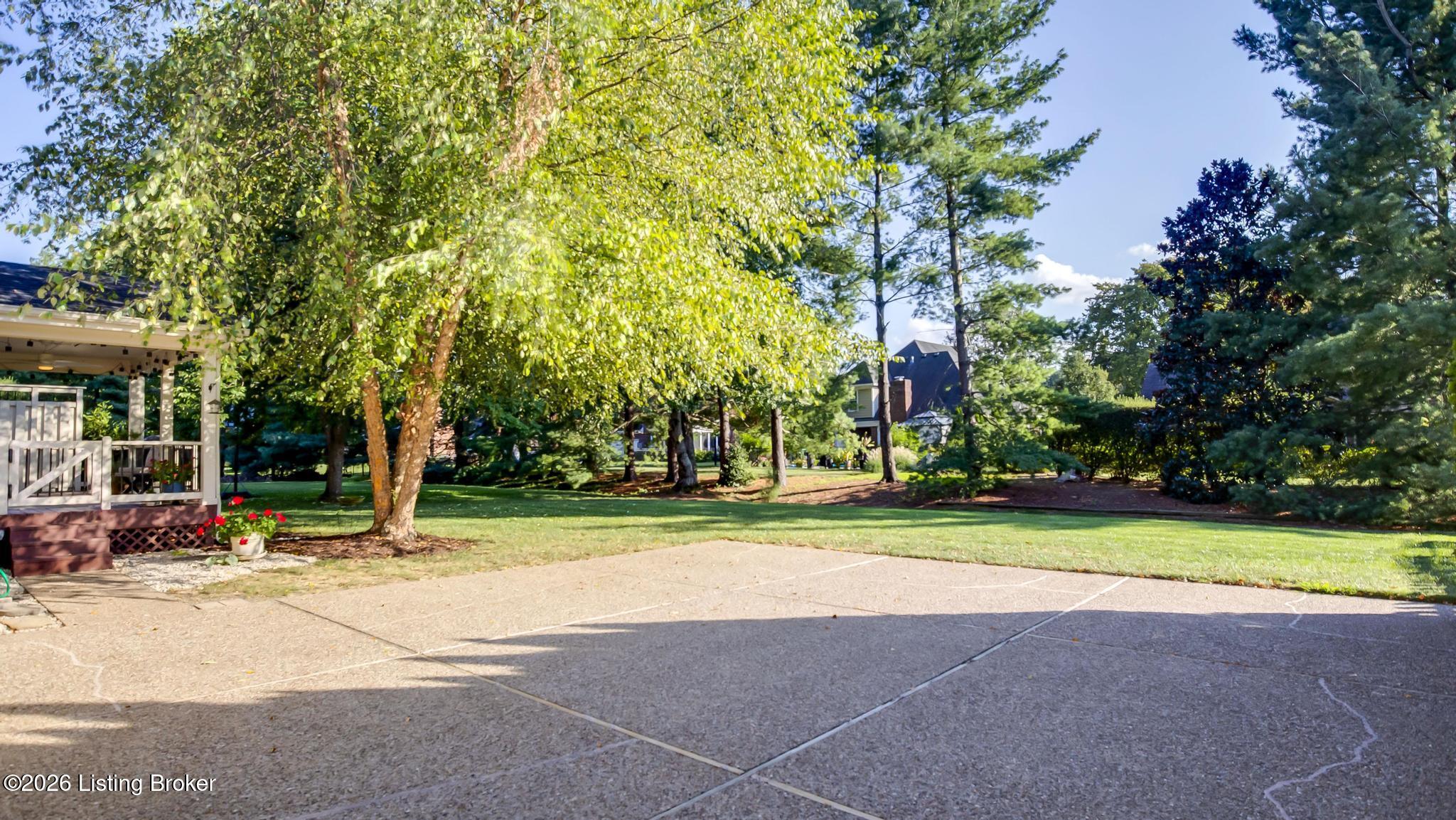 7413 Falls Ridge Ct Property Photo 66