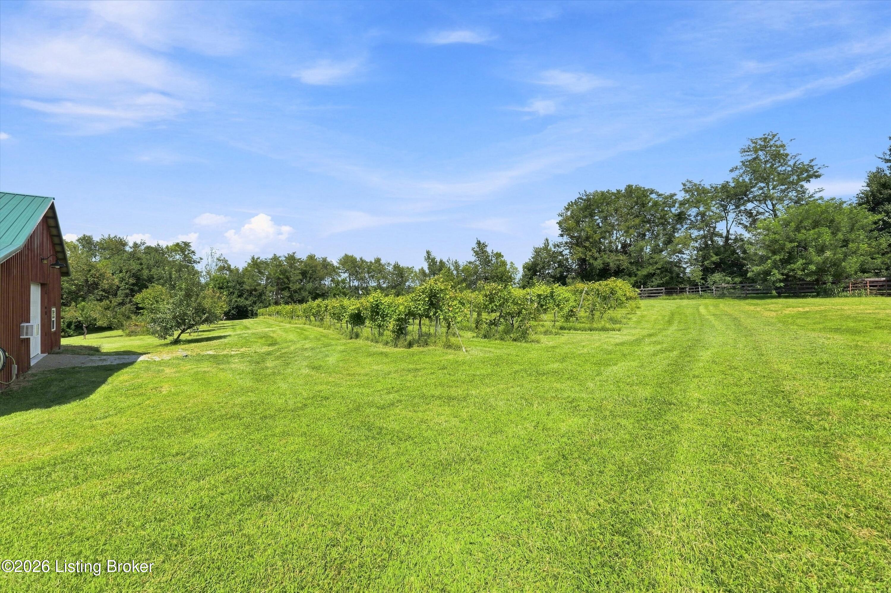 60 Lizas Cir Property Photo 23