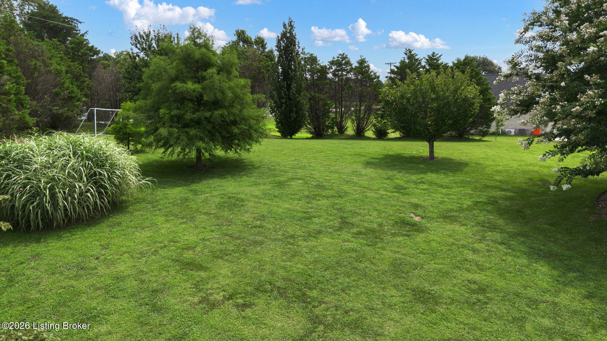 101 Damson Trail Property Photo 48