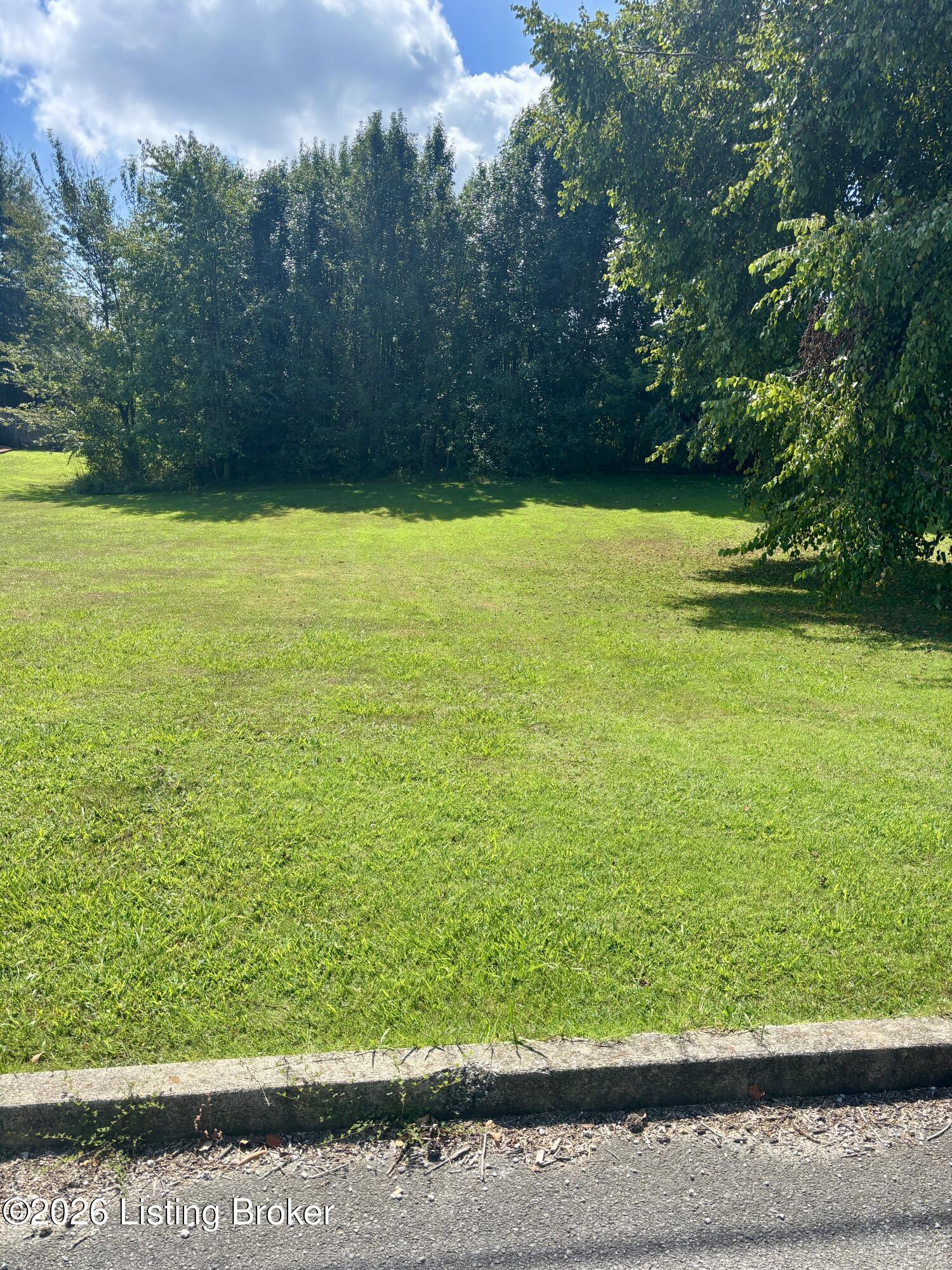 47 Summit Pointe Dr Property Photo 2
