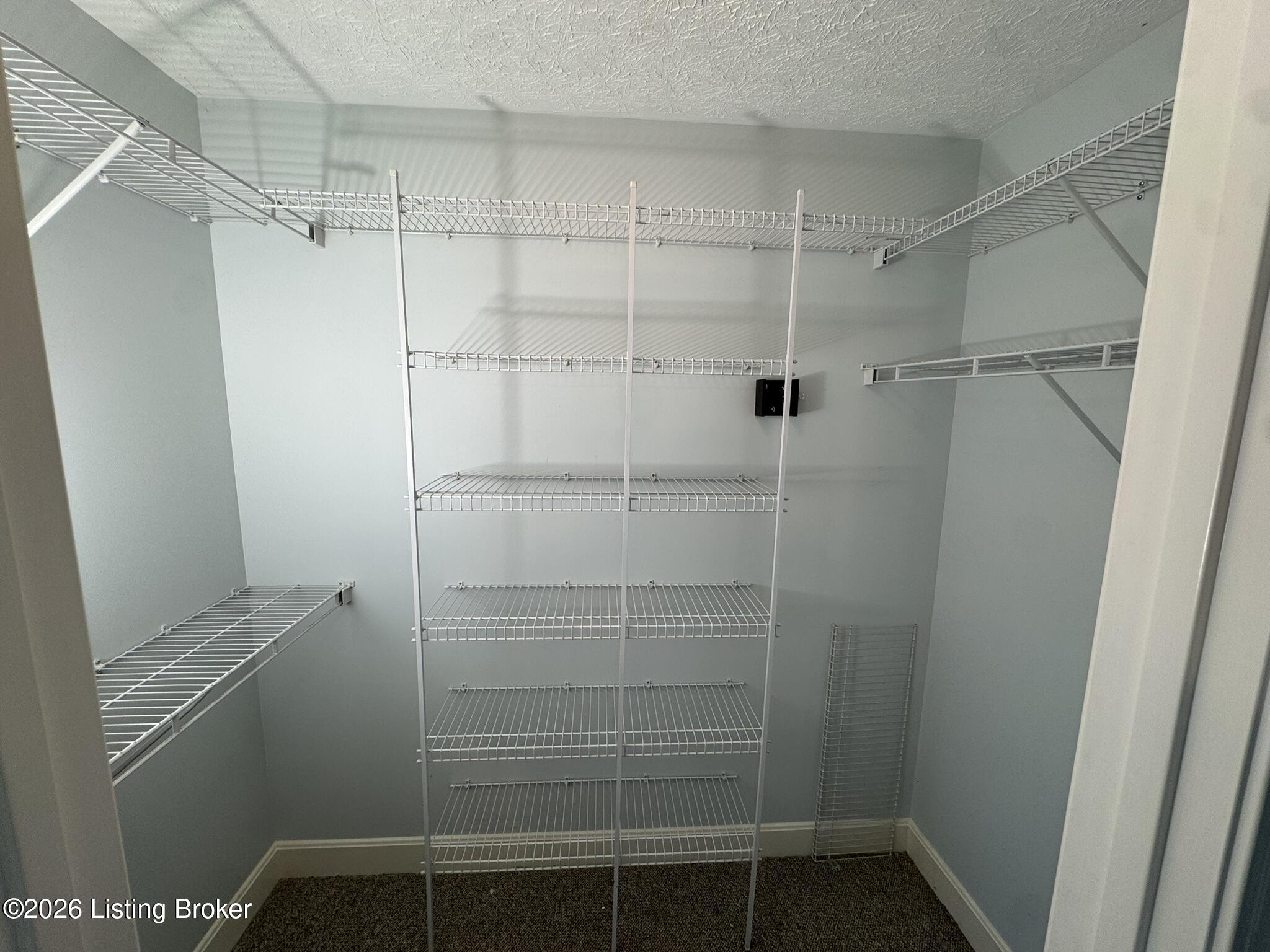 7220 Michael Benjamin Cir Property Photo 5