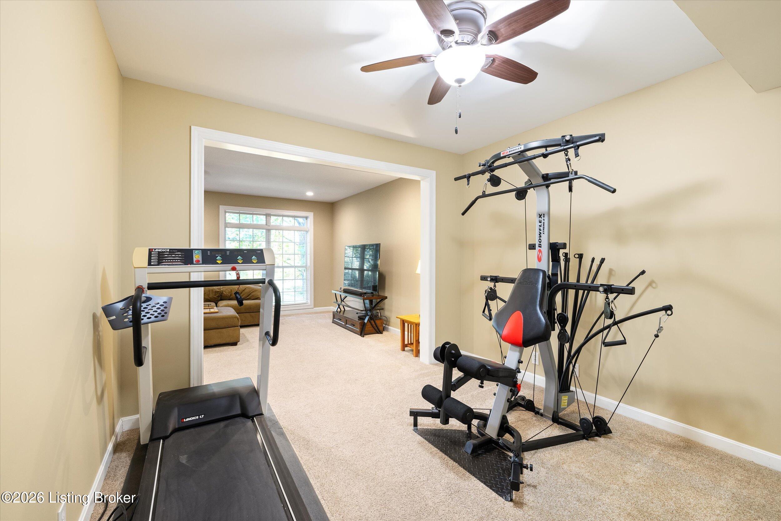 10520 Mountain Ash Ln Property Photo 51