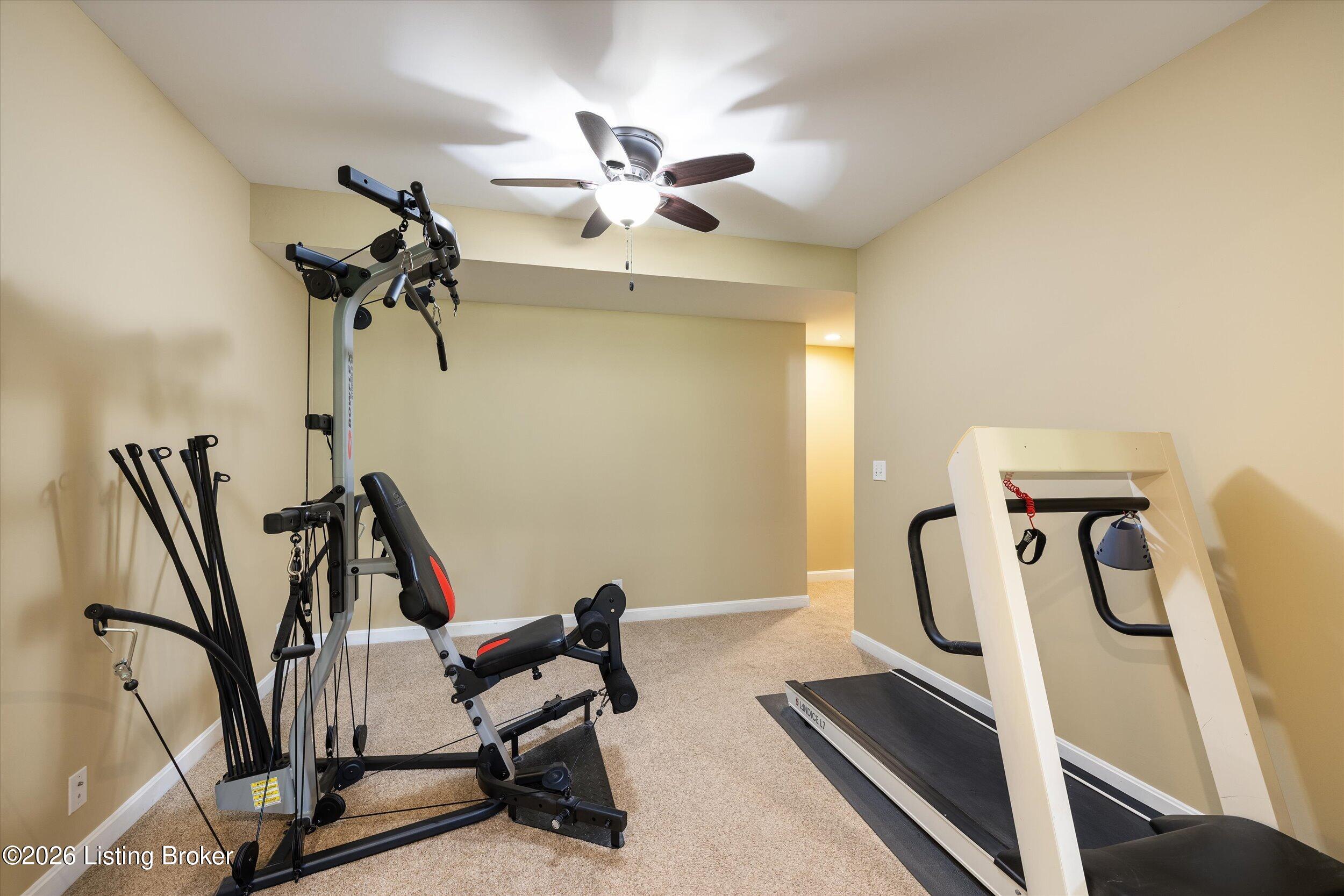 10520 Mountain Ash Ln Property Photo 52