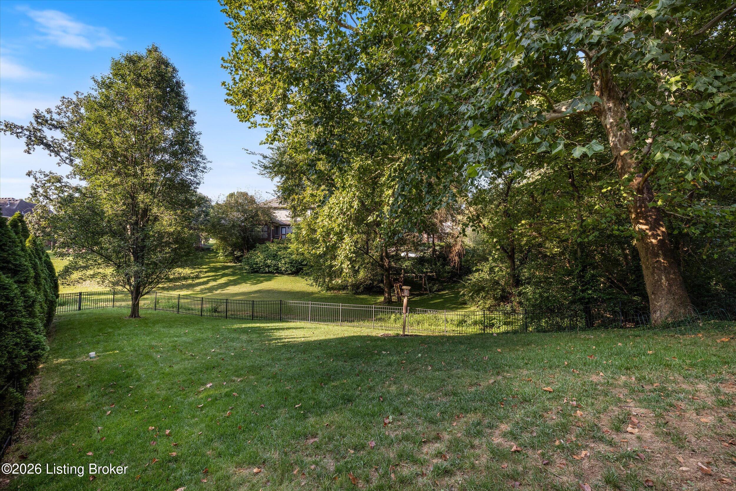 10520 Mountain Ash Ln Property Photo 58