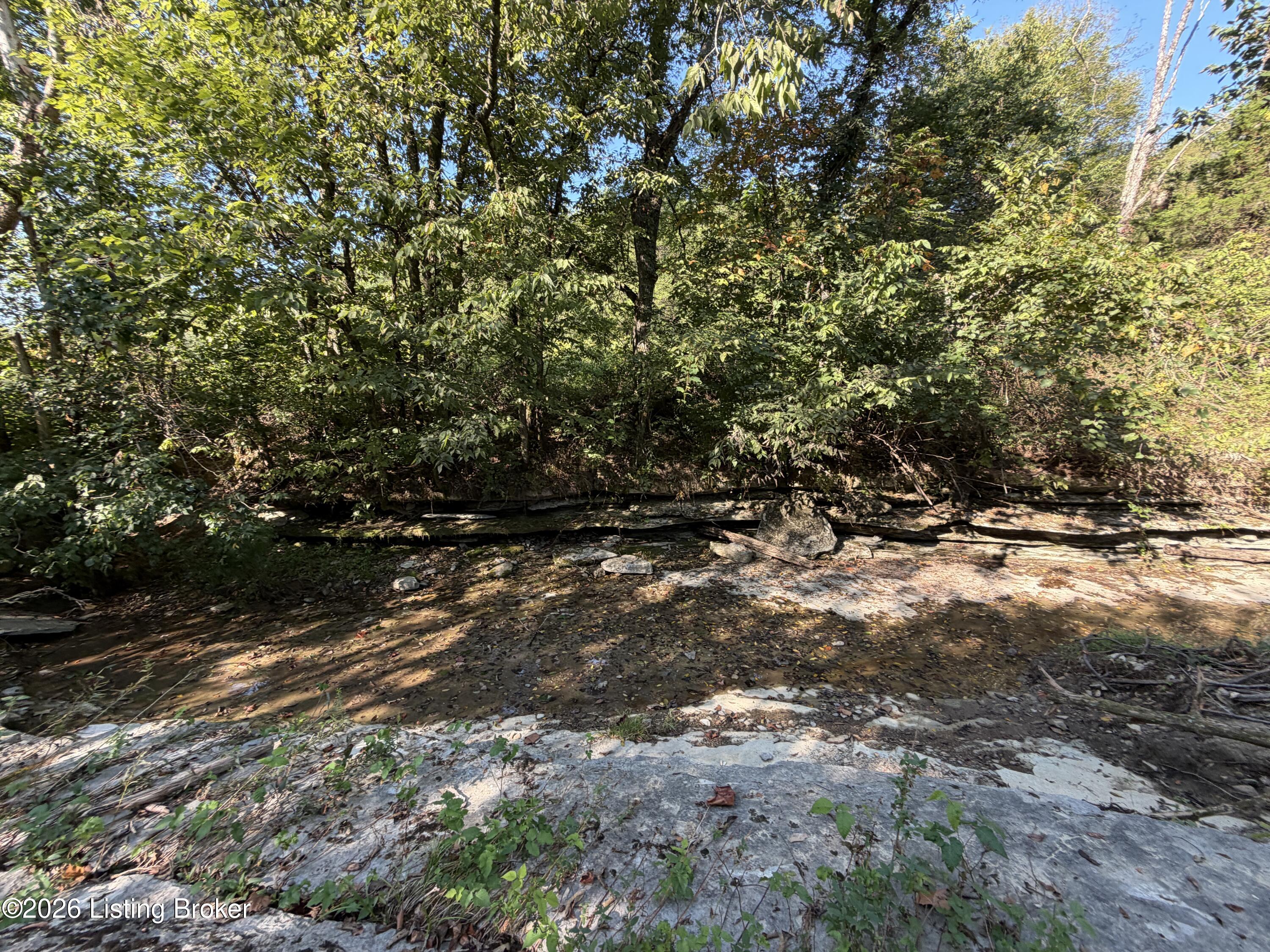 0 Liberty Rd Property Photo 10