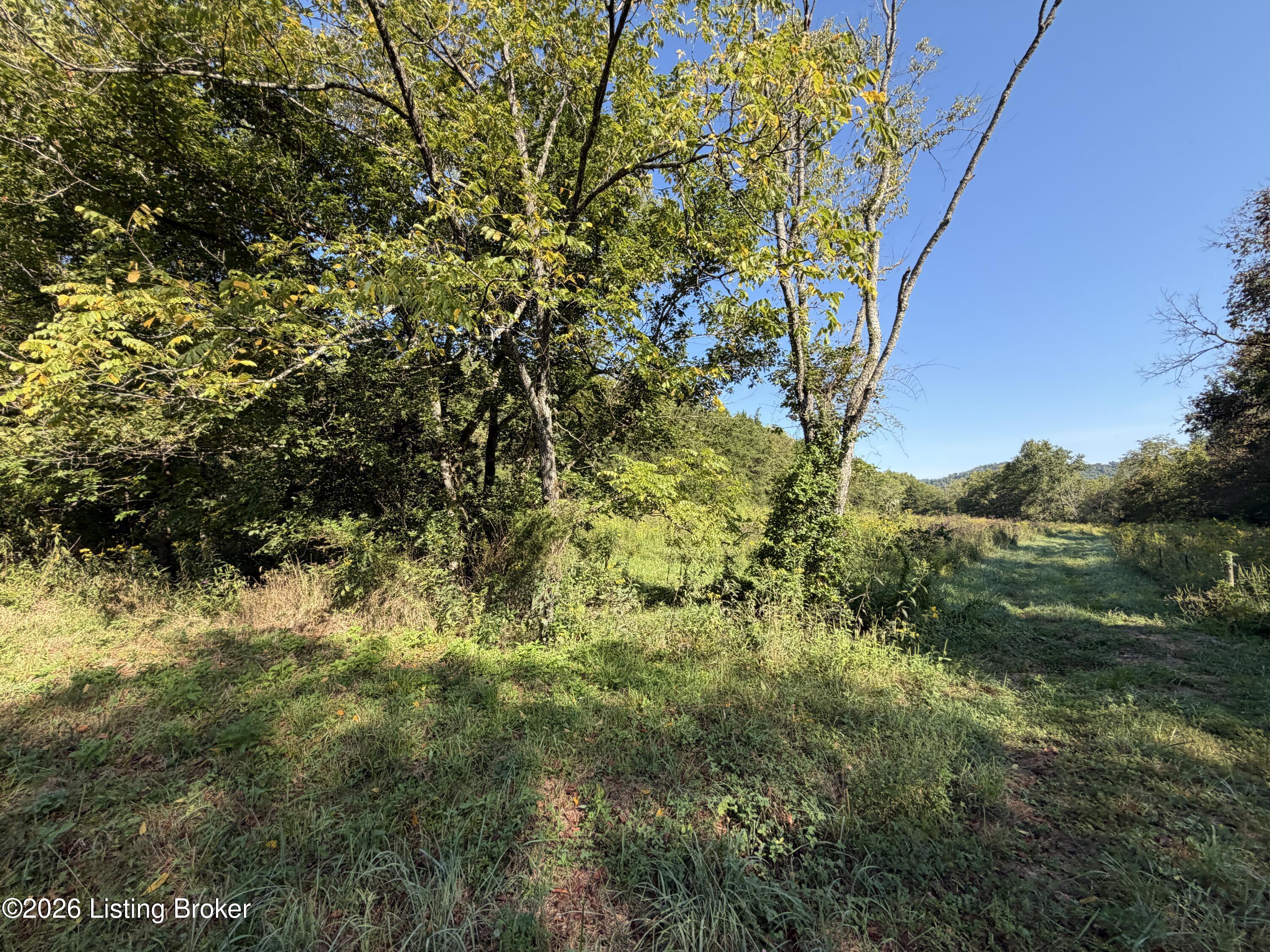 0 Liberty Rd Property Photo 14