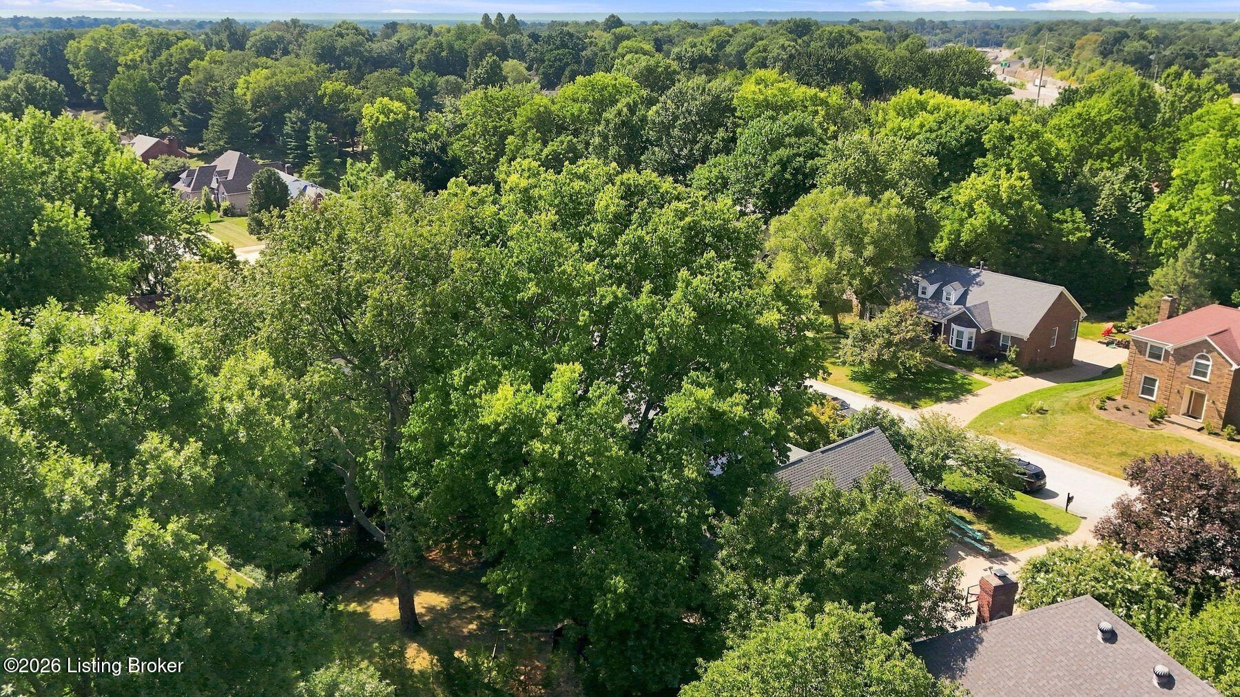 7608 Wolfspring Ct Property Photo 68