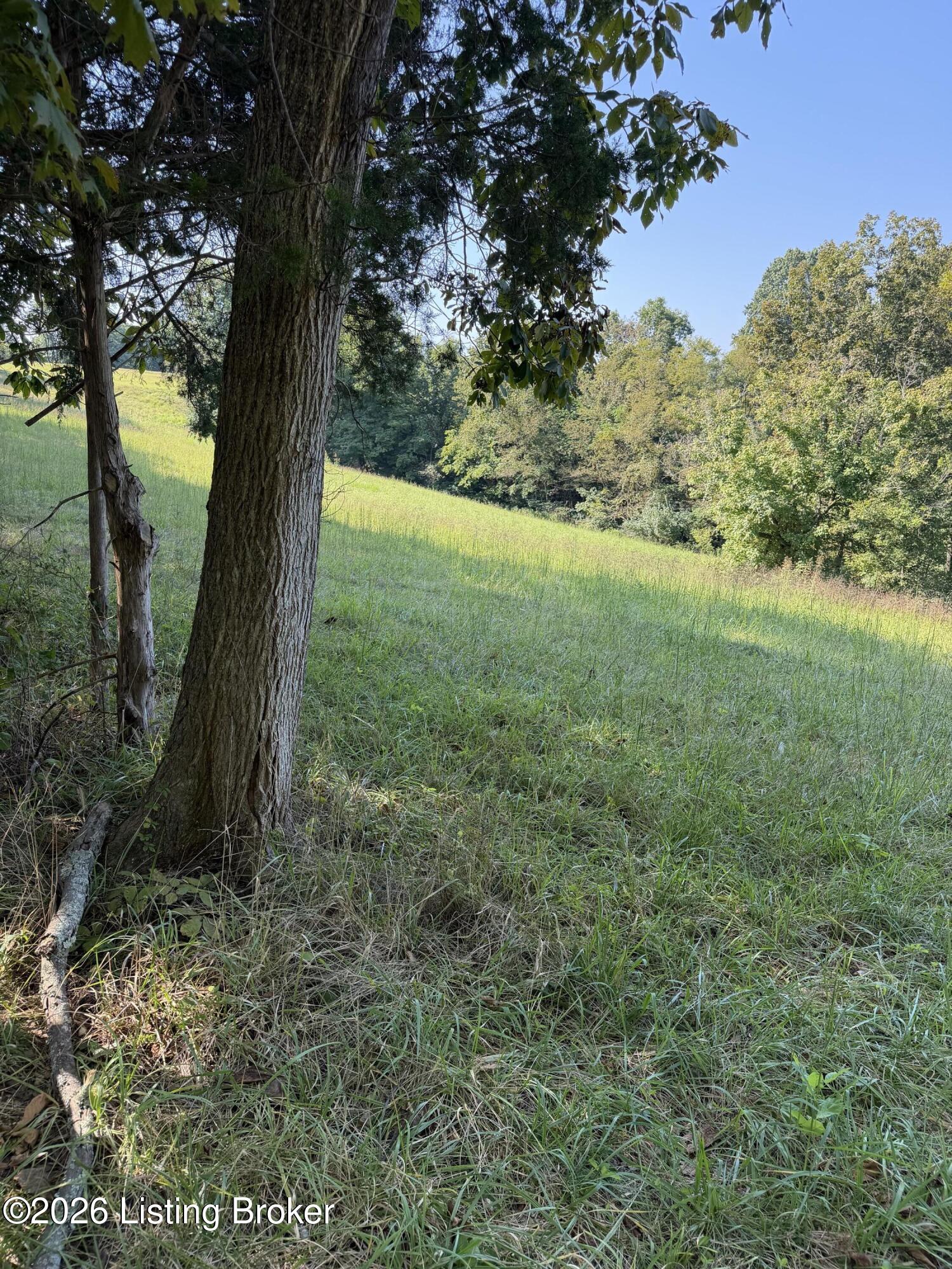 Tr 12 Samples Ln Property Photo 1