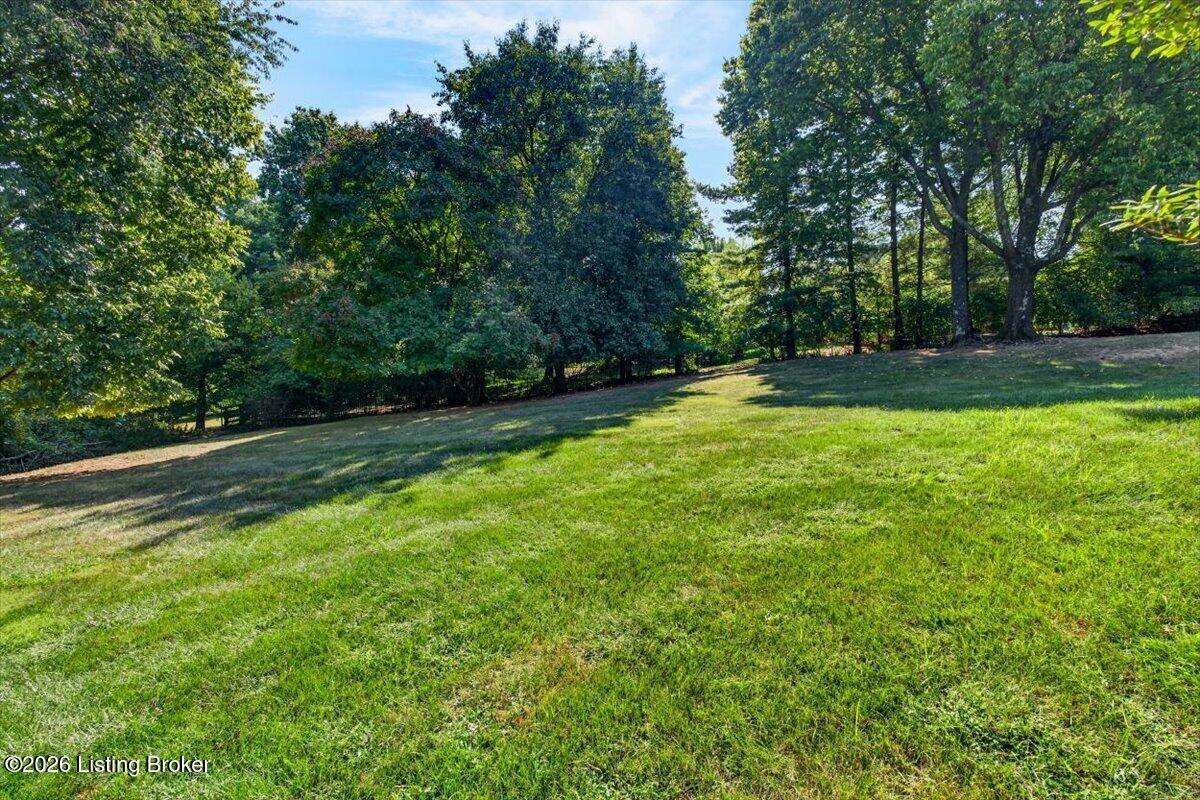 7019 Hadley Ct Property Photo 53