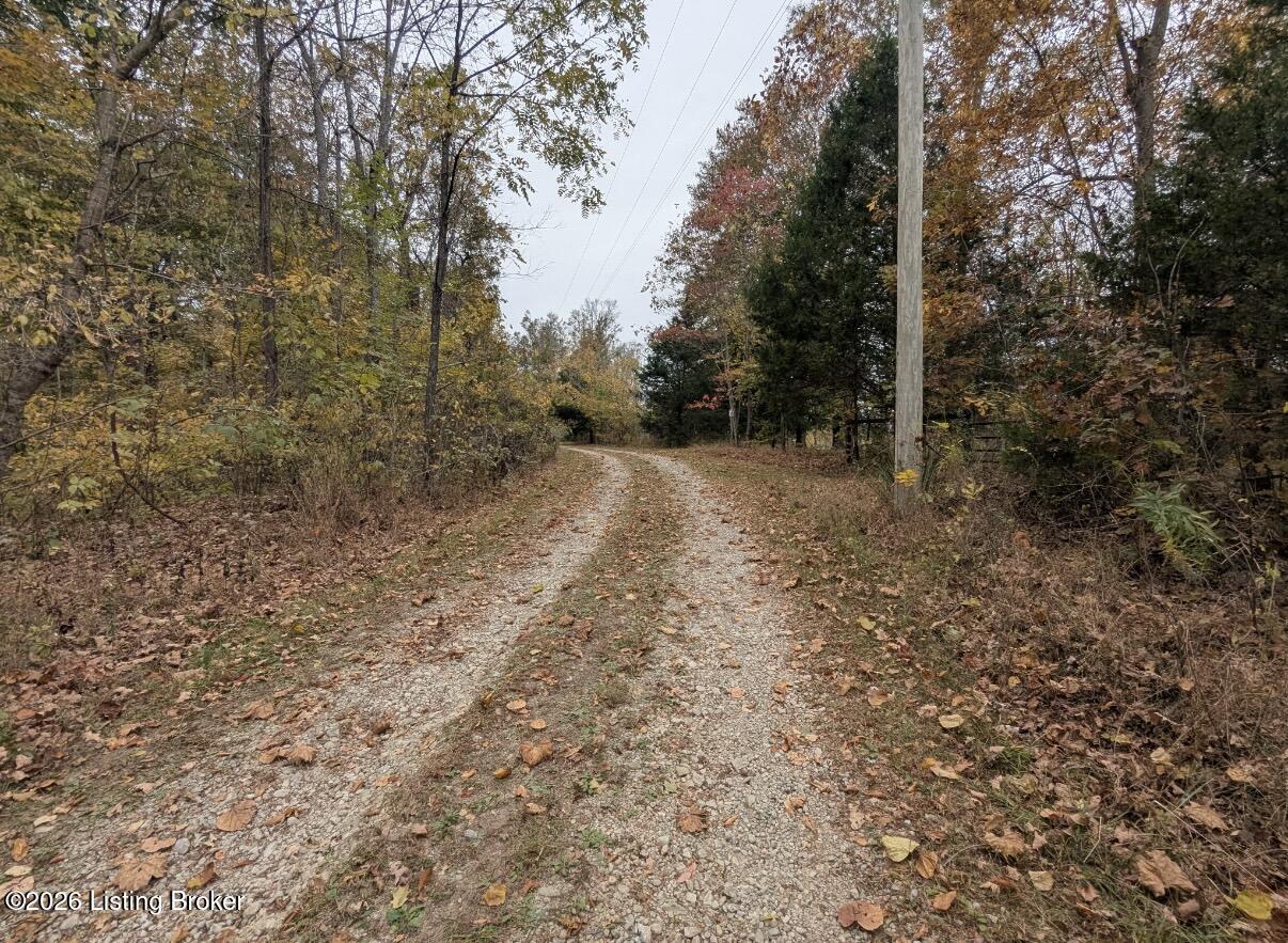 194 Hagan Rd Property Photo 56