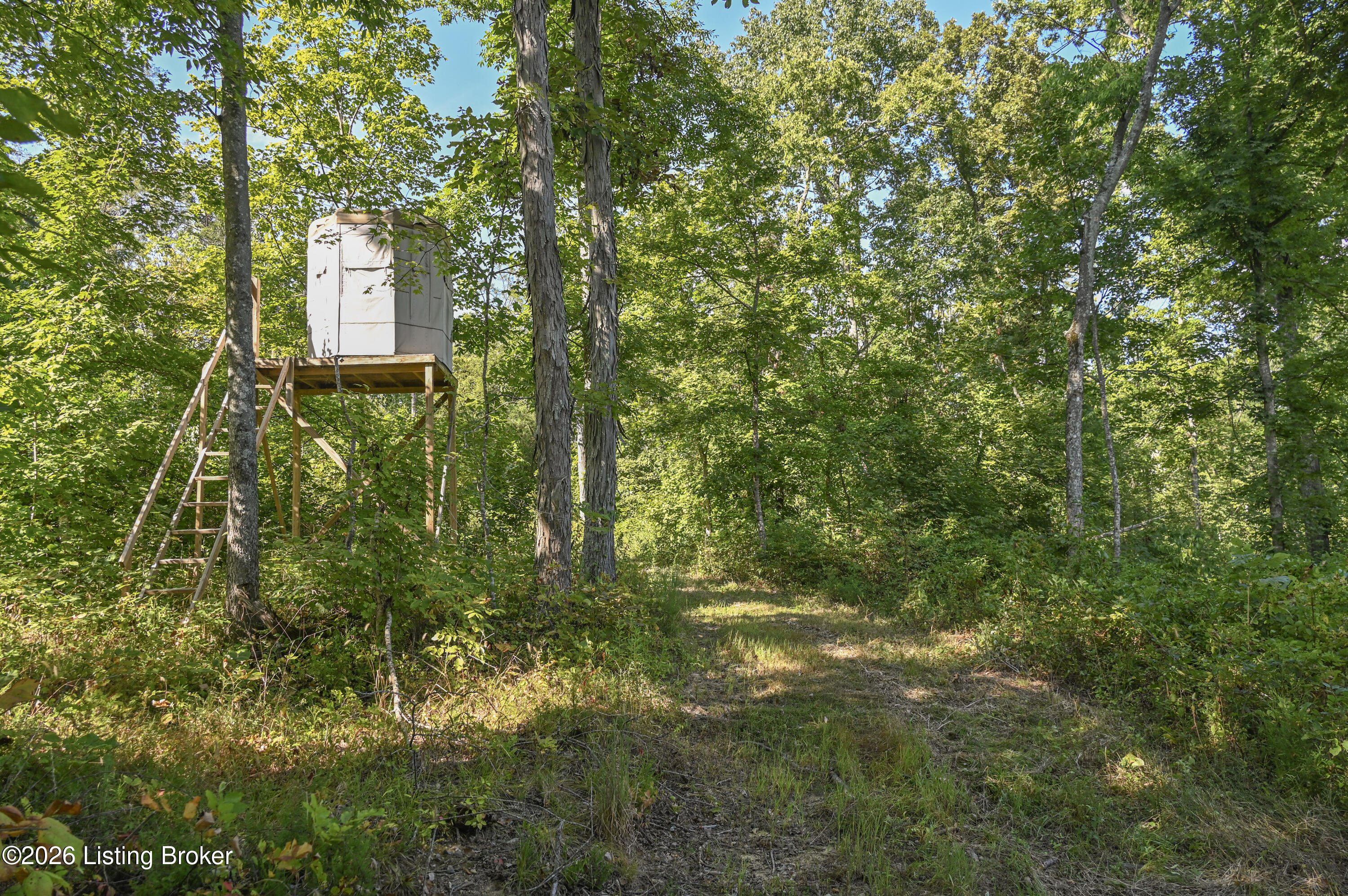 9211 Ky-555 Property Photo 3